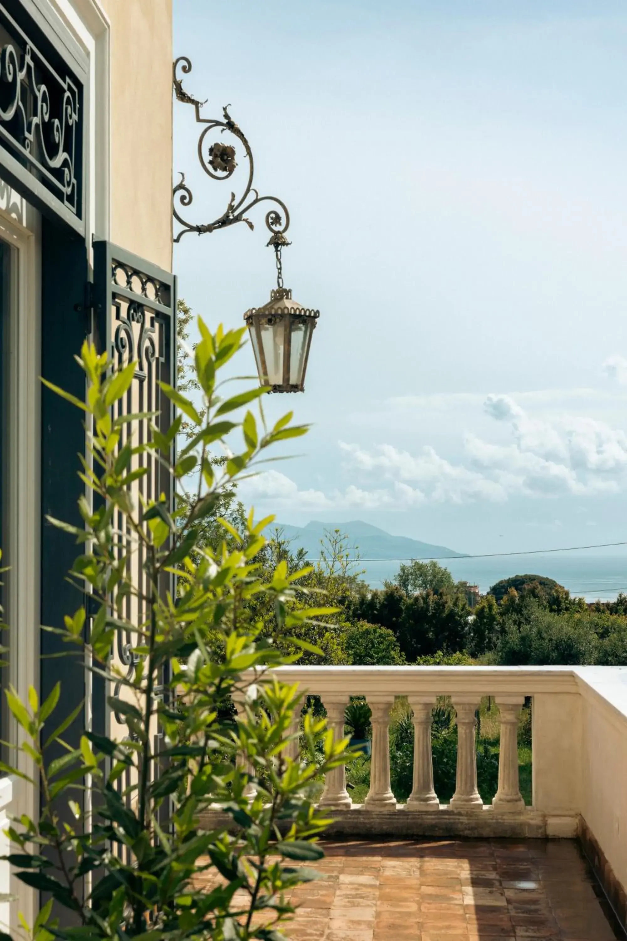 Bird's eye view in Villa De Cillis Carafa Bird's eye view in Villa De Cillis Carafa