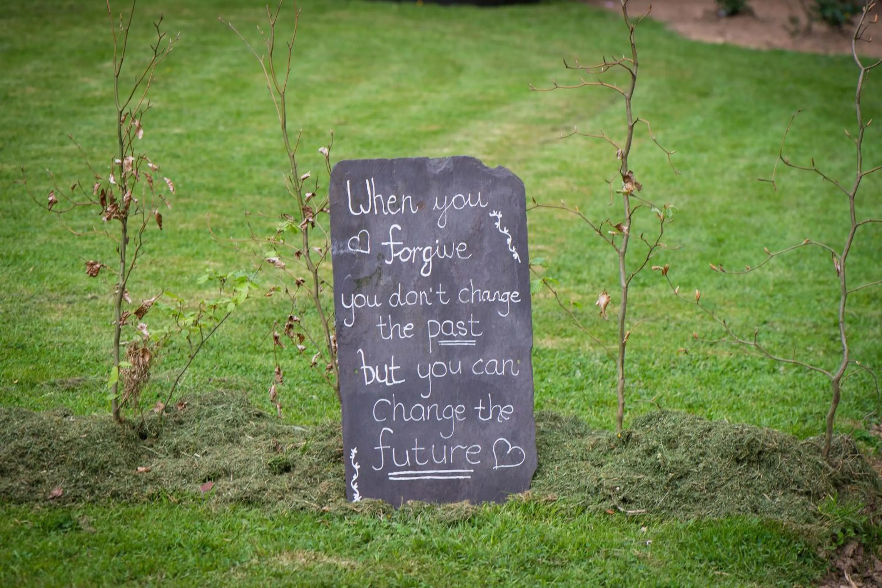 Garden in Ballinwillin House