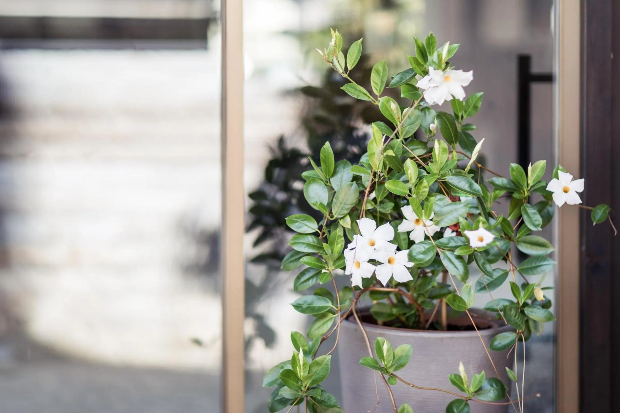 Felderer Boutiquehotel B&B