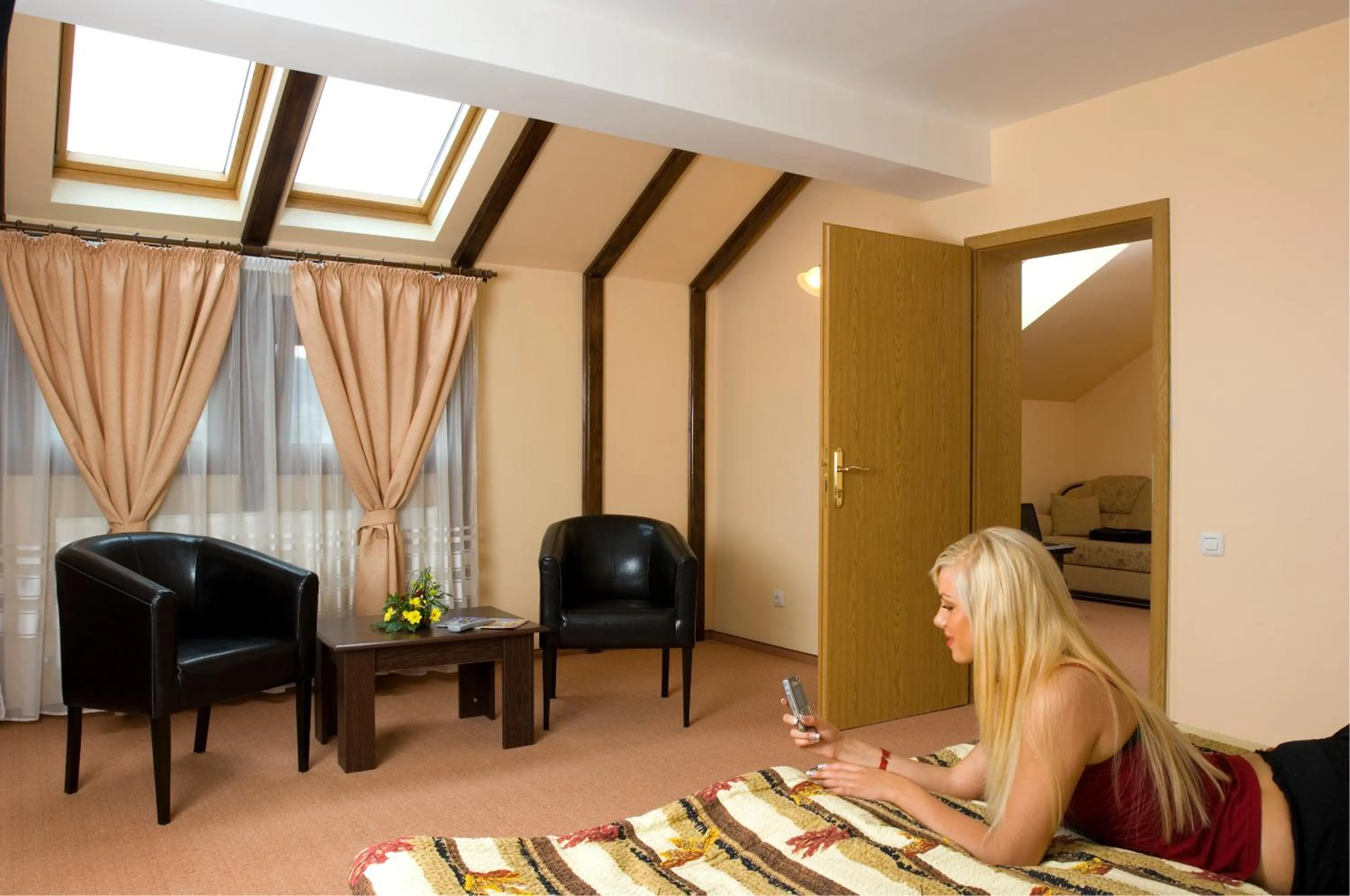 Other in Pensiunea Ambient