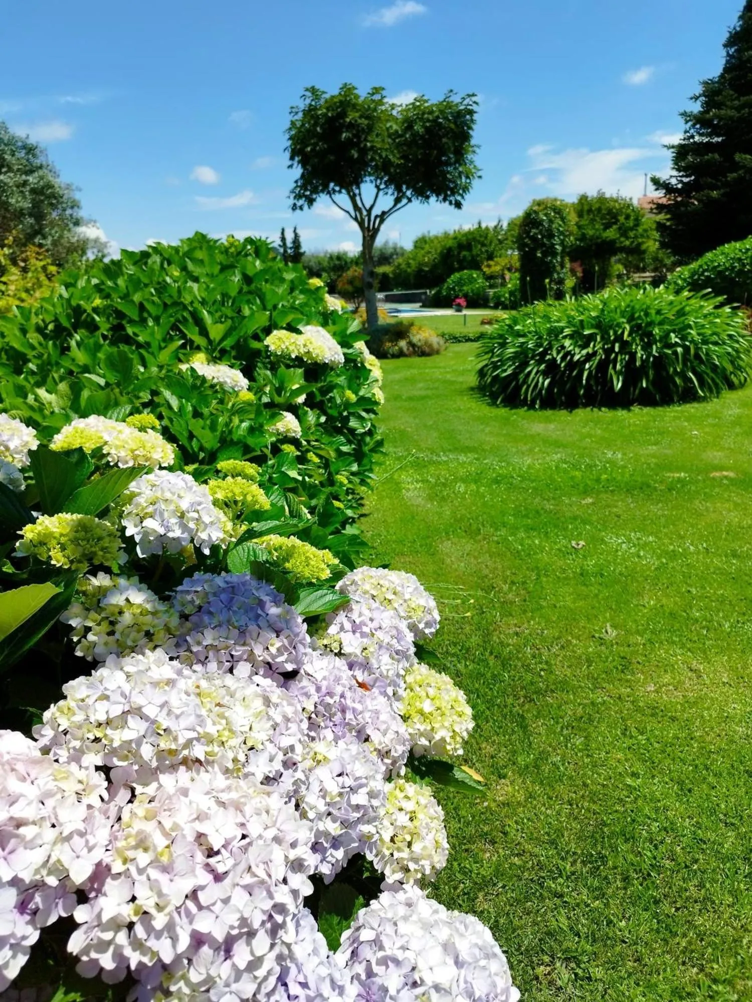 Garden in Casa de Santa Ana da Beira