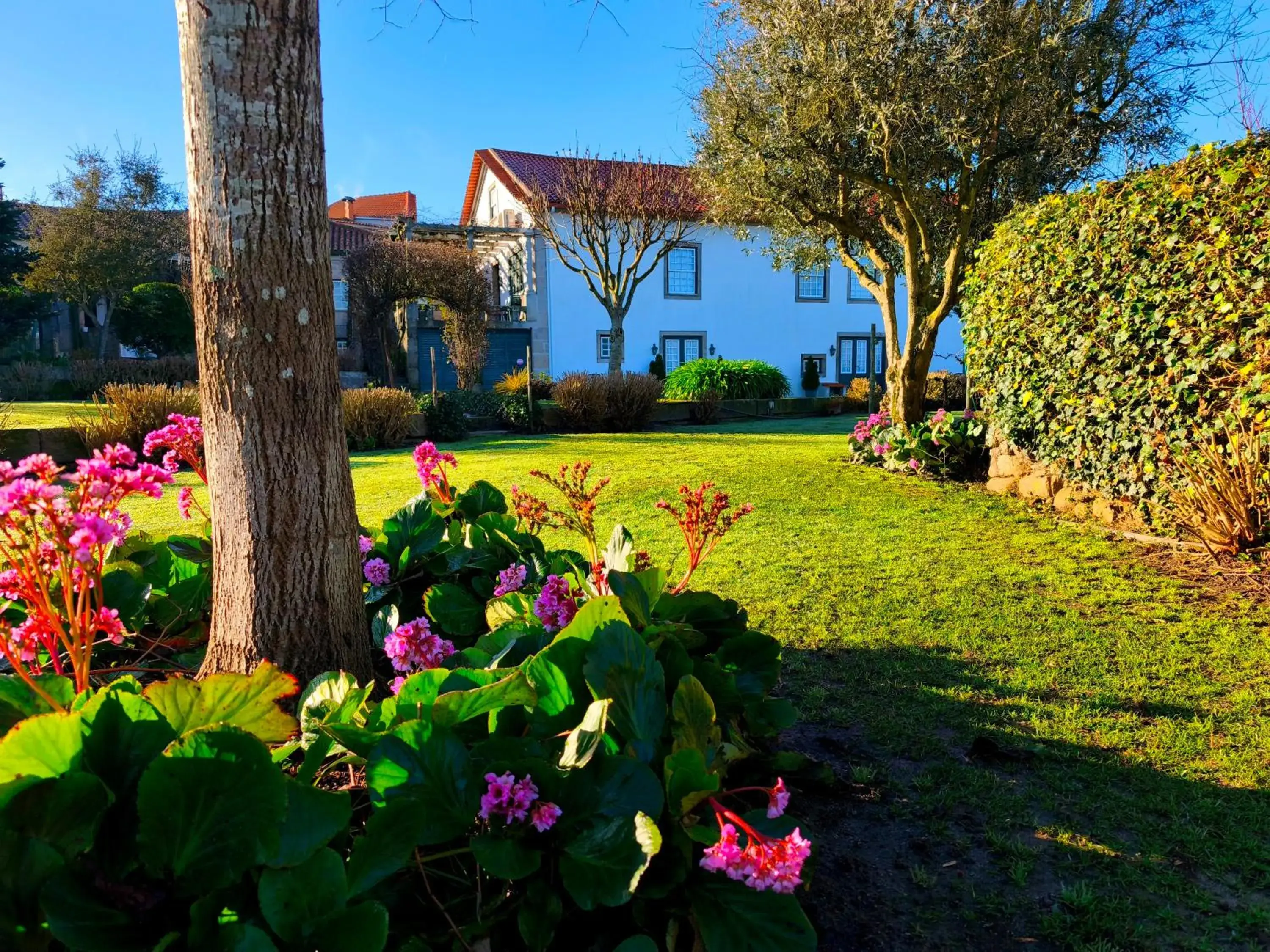 Property building in Casa de Santa Ana da Beira Property building in Casa de Santa Ana da Beira