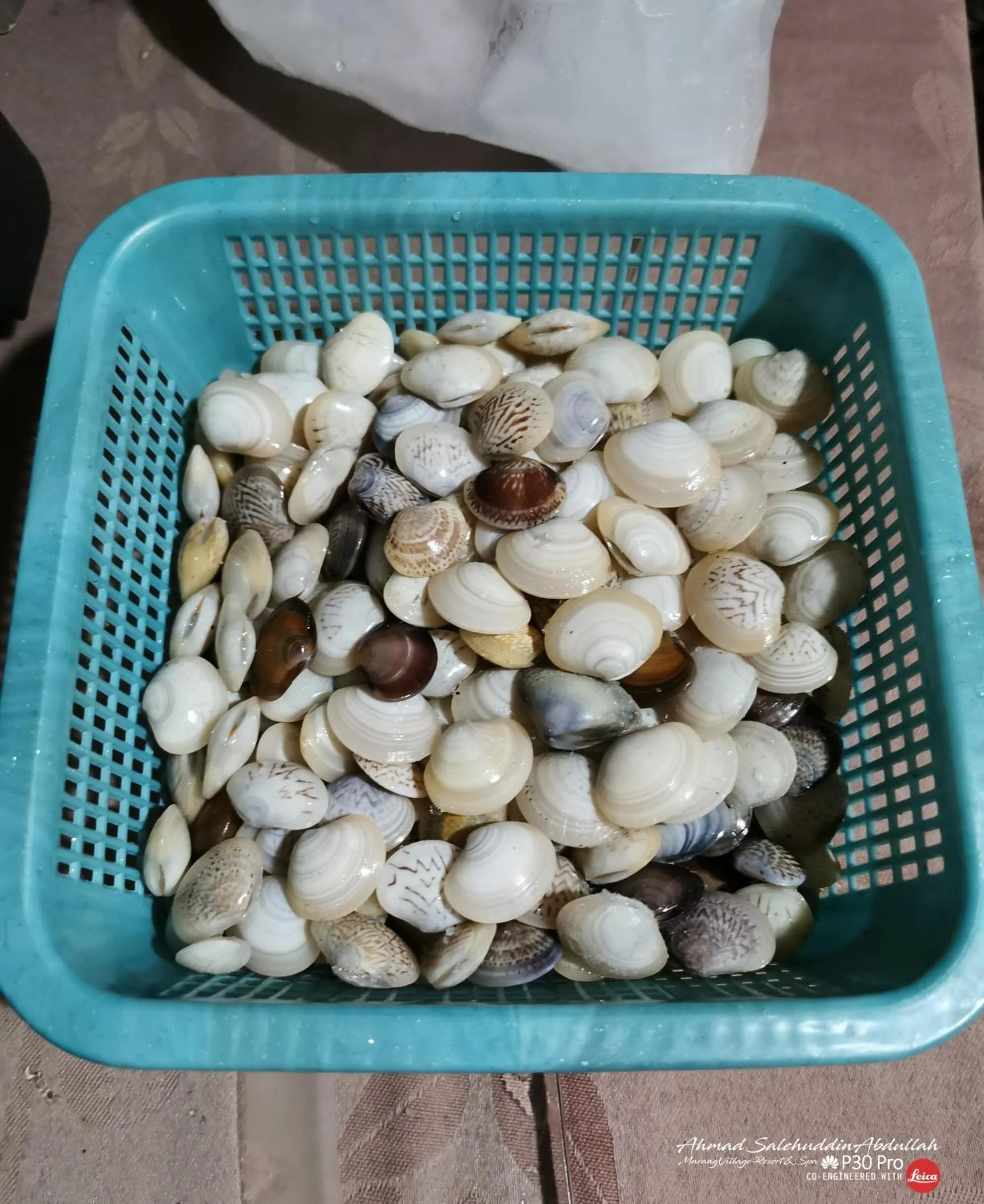 Marang Village Resort