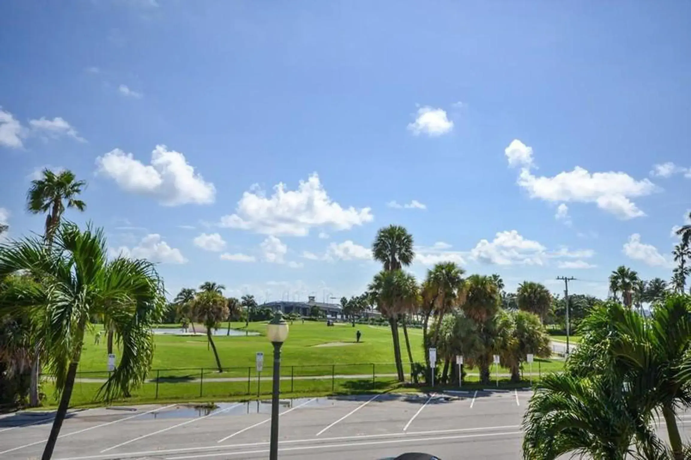 View (from property/room) in Sabal Palm House Bed and Breakfast View (from property/room) in Sabal Palm House Bed and Breakfast