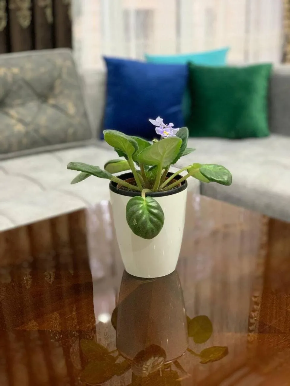 Hotel City Samarkand