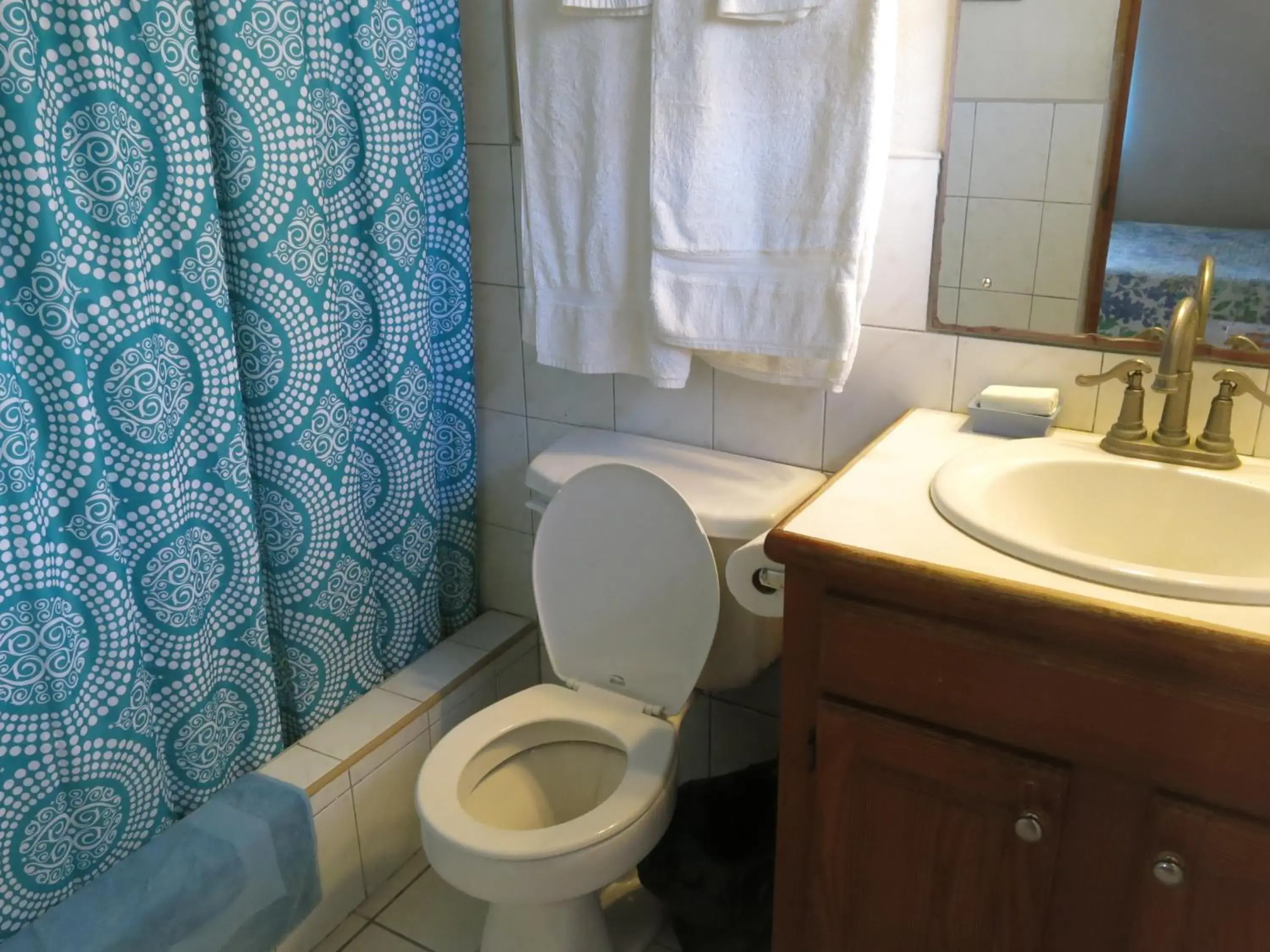 Gemini House Bed & Breakfast Gemini House Bed & Breakfast