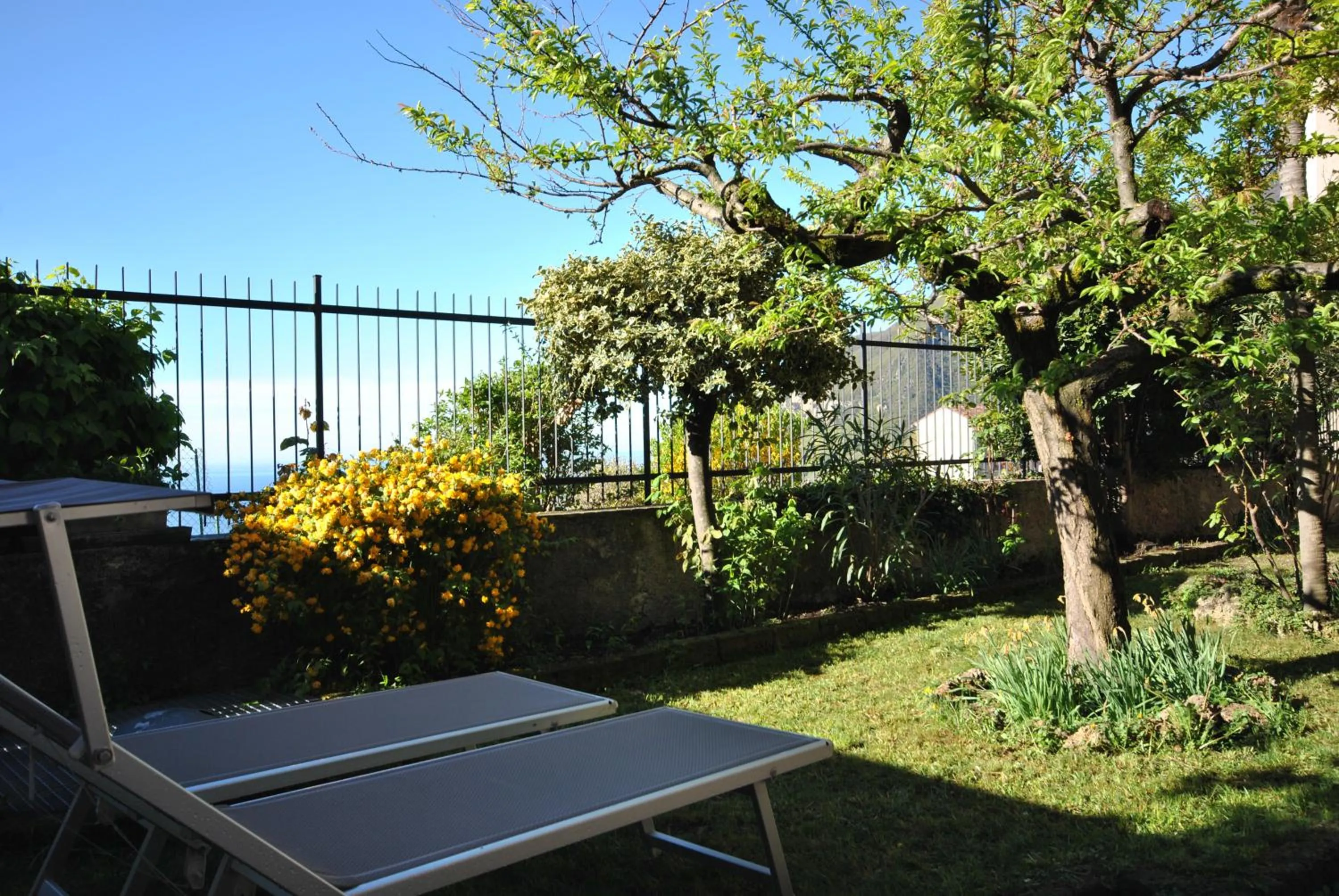 Garden in Hotel Gallo