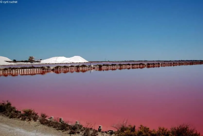 Off site in Hôtel Café Miramar