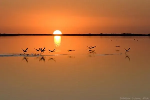 Spring in Hôtel Café Miramar