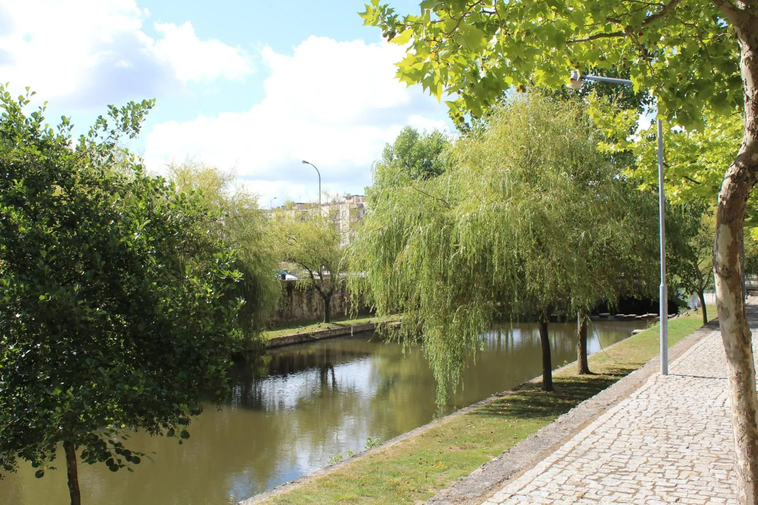 View (from property/room) in Golden Tulip São João da Madeira Hotel View (from property/room) in Golden Tulip São João da Madeira Hotel