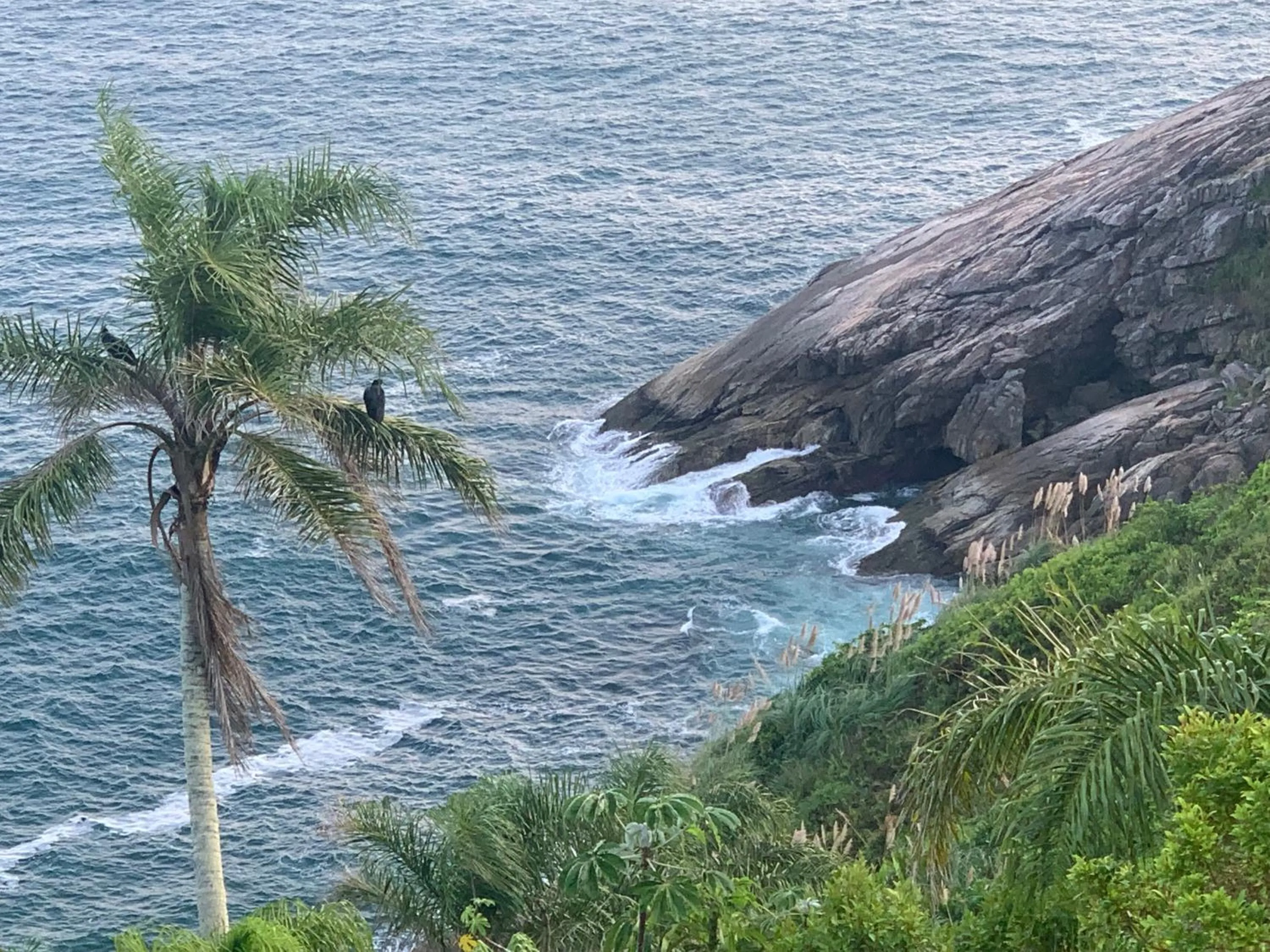Natural landscape in Hotel The Green Ecologic