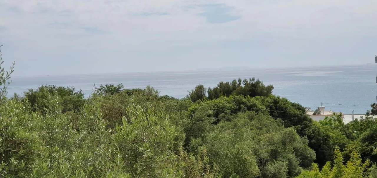 Seaview apartment