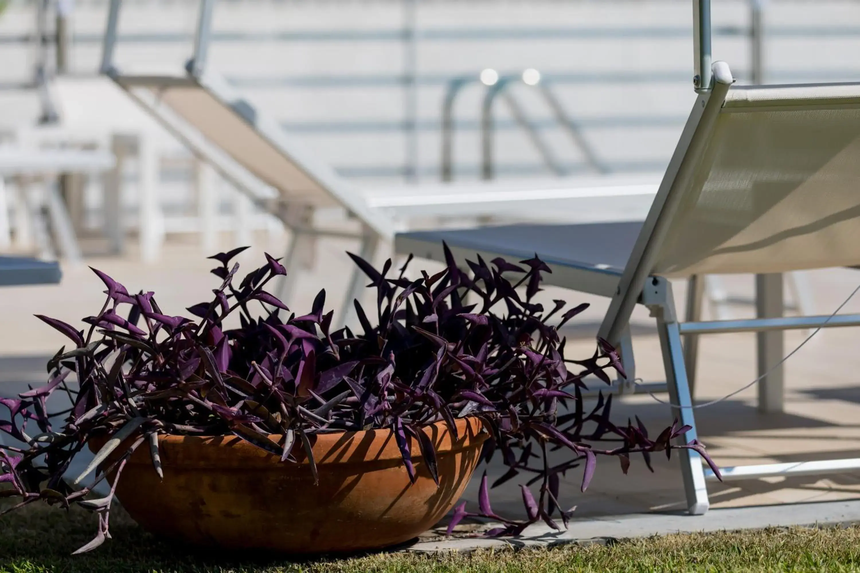 Veda elegant rooms Veda elegant rooms