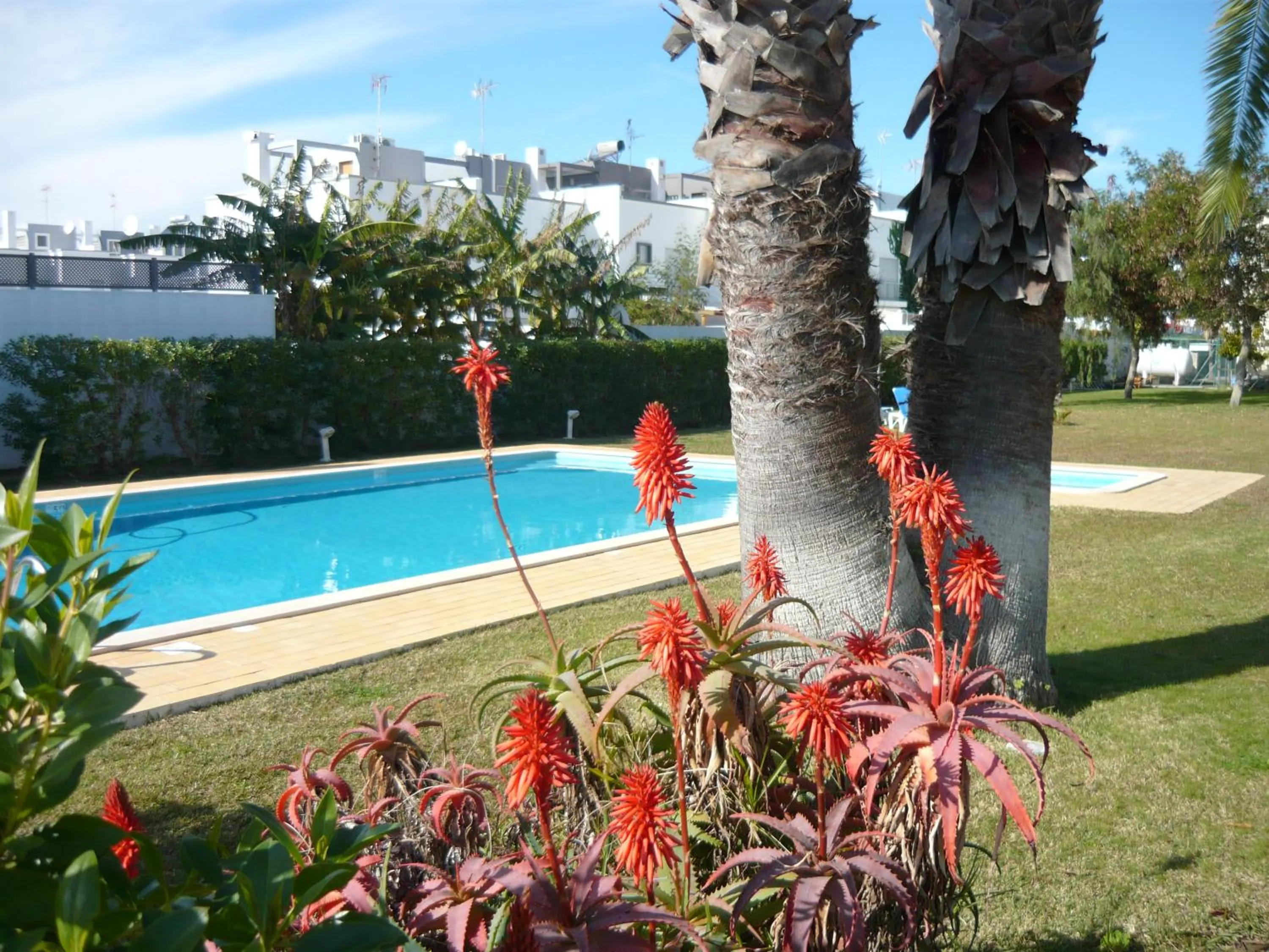 Pool view in Praia da Lota Beachfront Resort - Hotel & Apartments