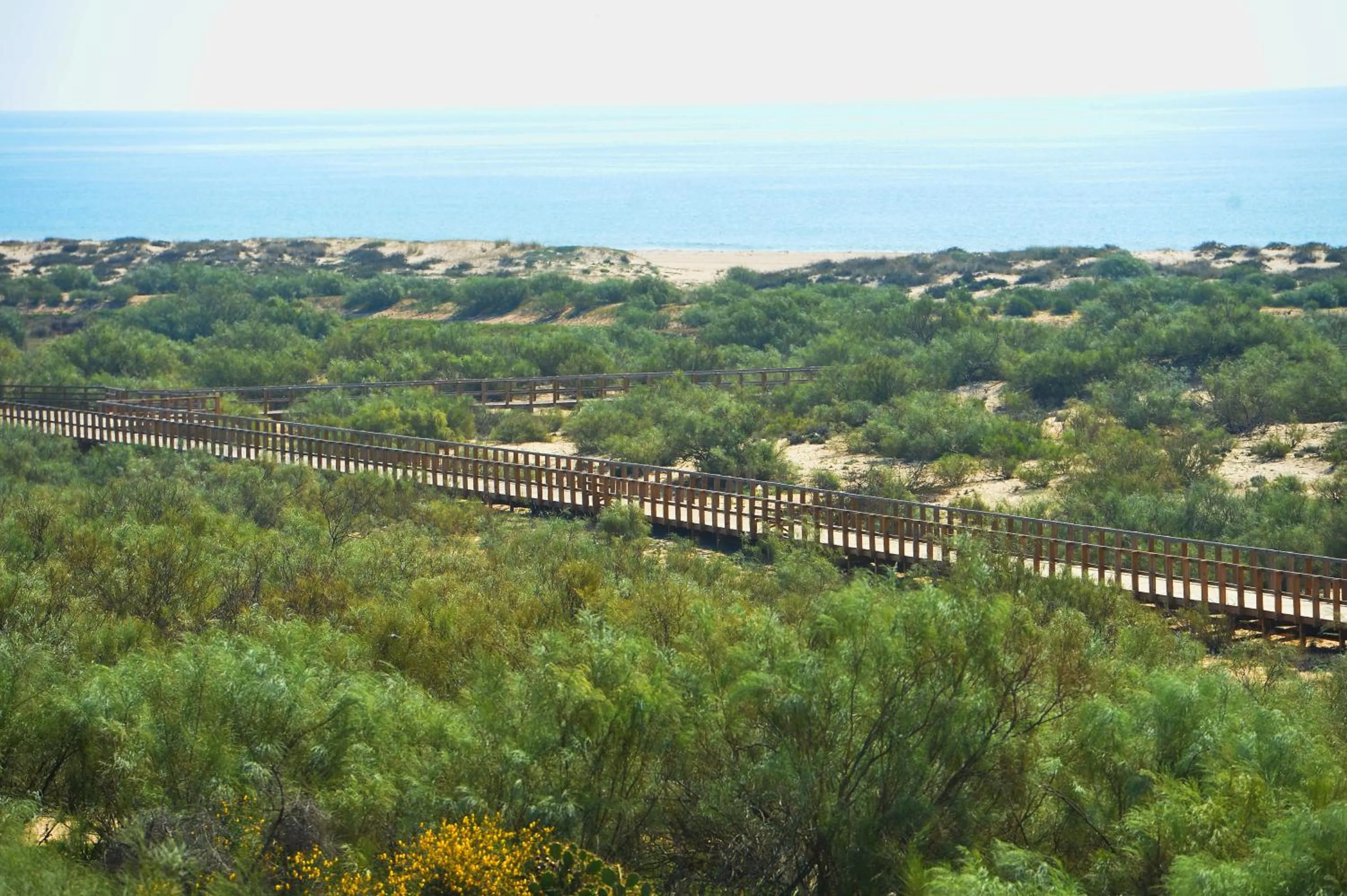 Beach in Praia da Lota Beachfront Resort - Hotel & Apartments
