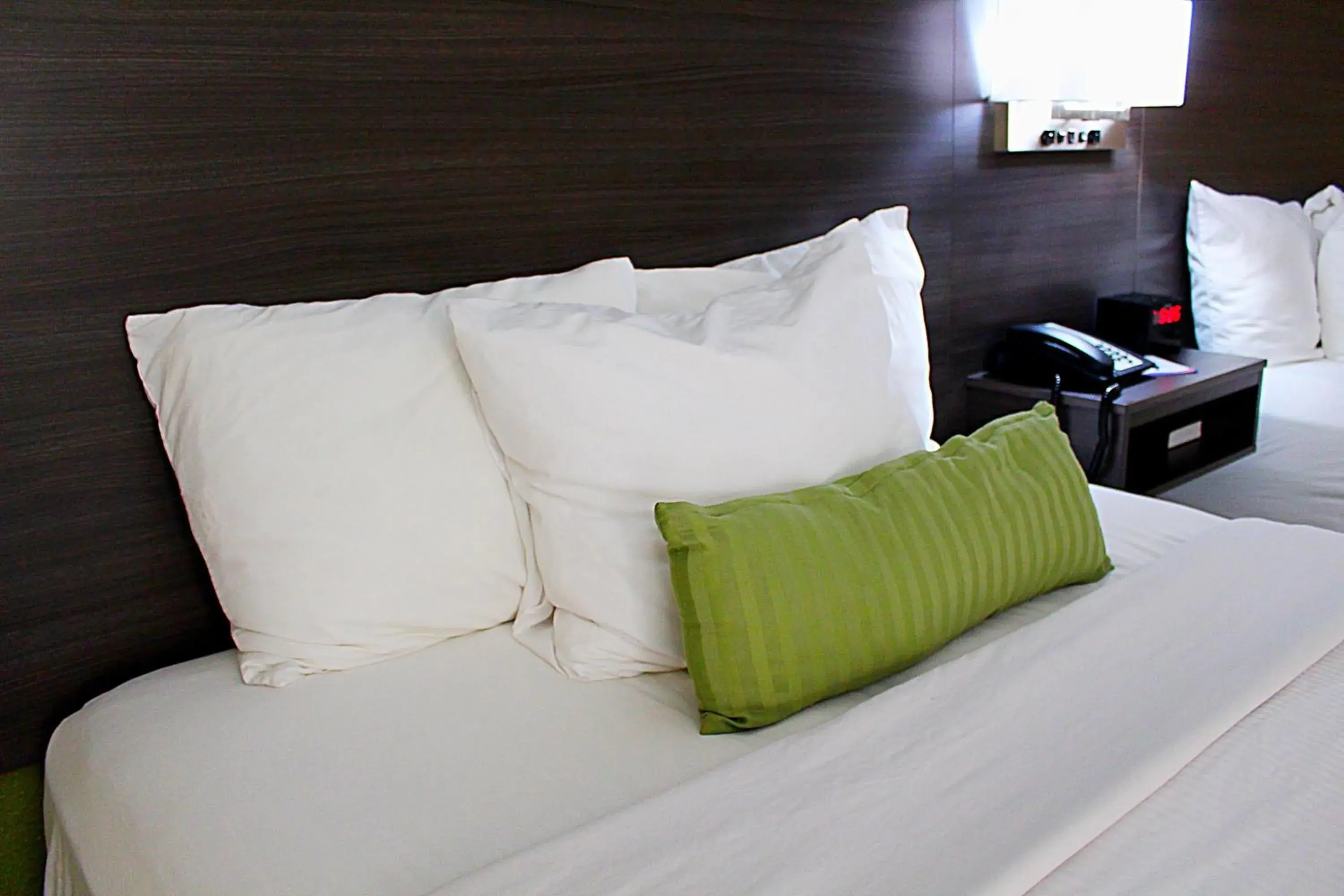 Bedroom, Bed in Baymont by Wyndham Springfield Bedroom, Bed in Baymont by Wyndham Springfield