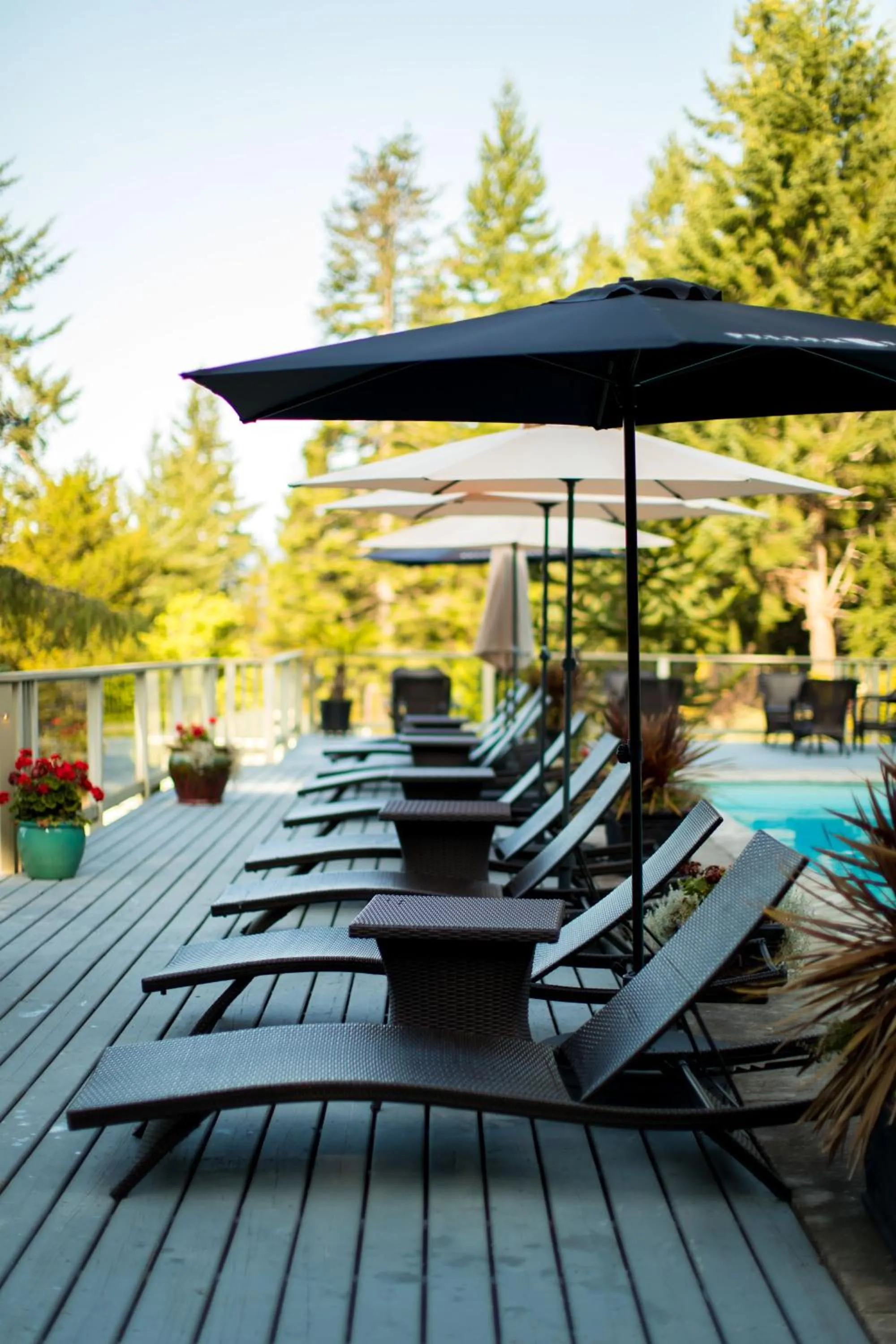 Patio in Rockwater Secret Cove Resort