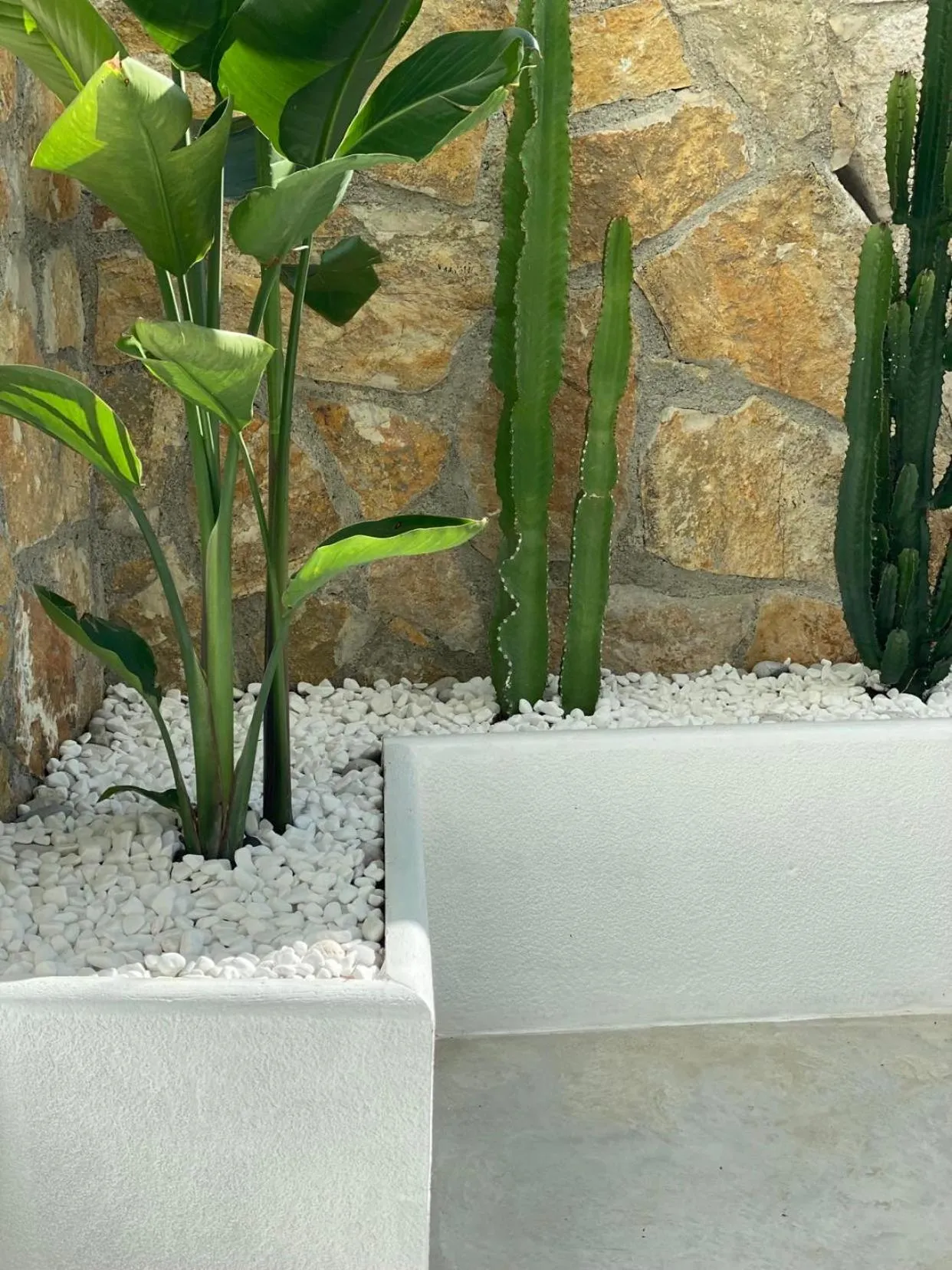 Restaurant/places to eat in Geo & Art Boutique Hotel Himara