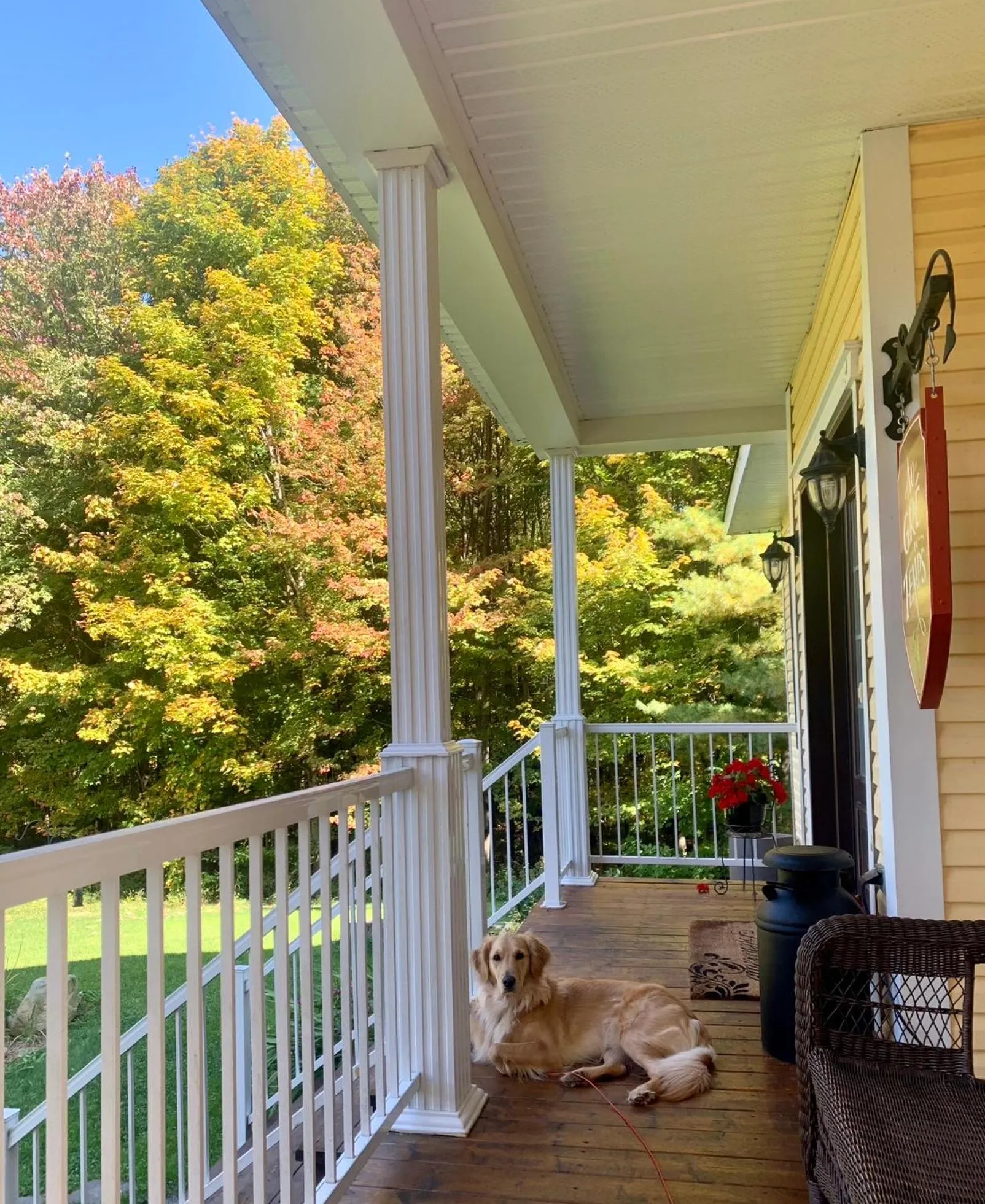 Garden in Au Gré Du Temps - Gîte B&B