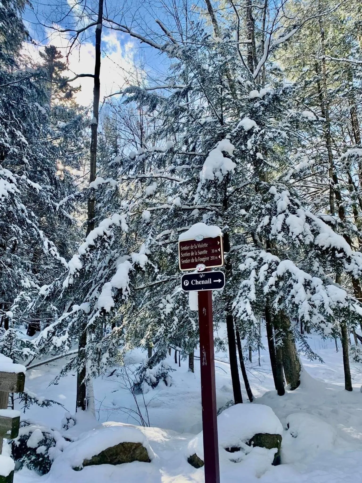 Natural landscape in Au Gré Du Temps - Gîte B&B
