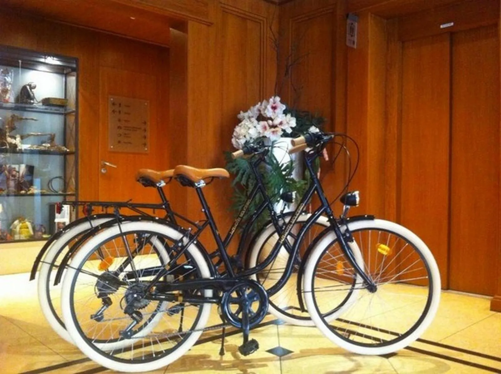 Cycling in Hotel Moliceiro