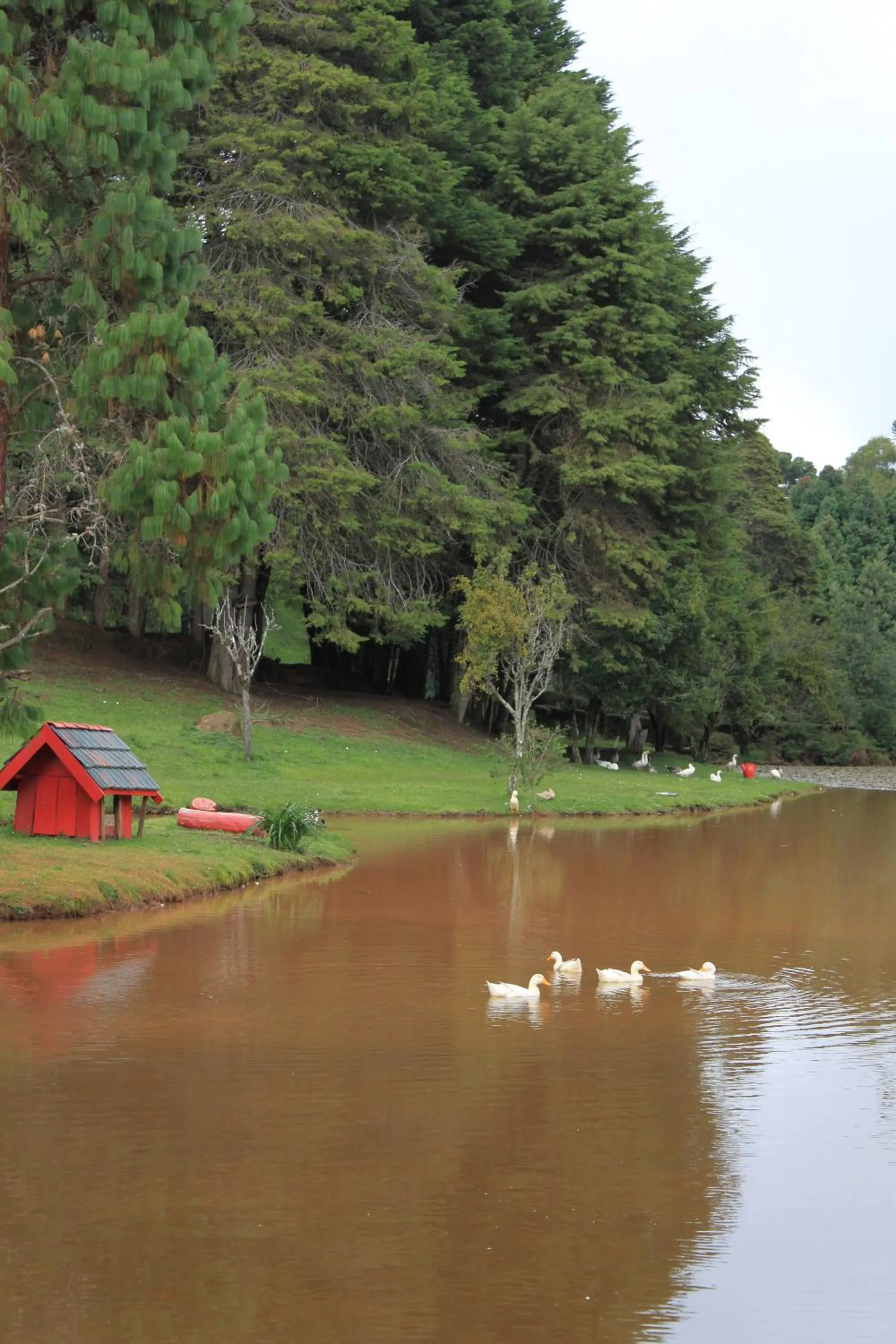 Day in Hotel Recanto São Cristóvão - Próximo ao parque Tarundu