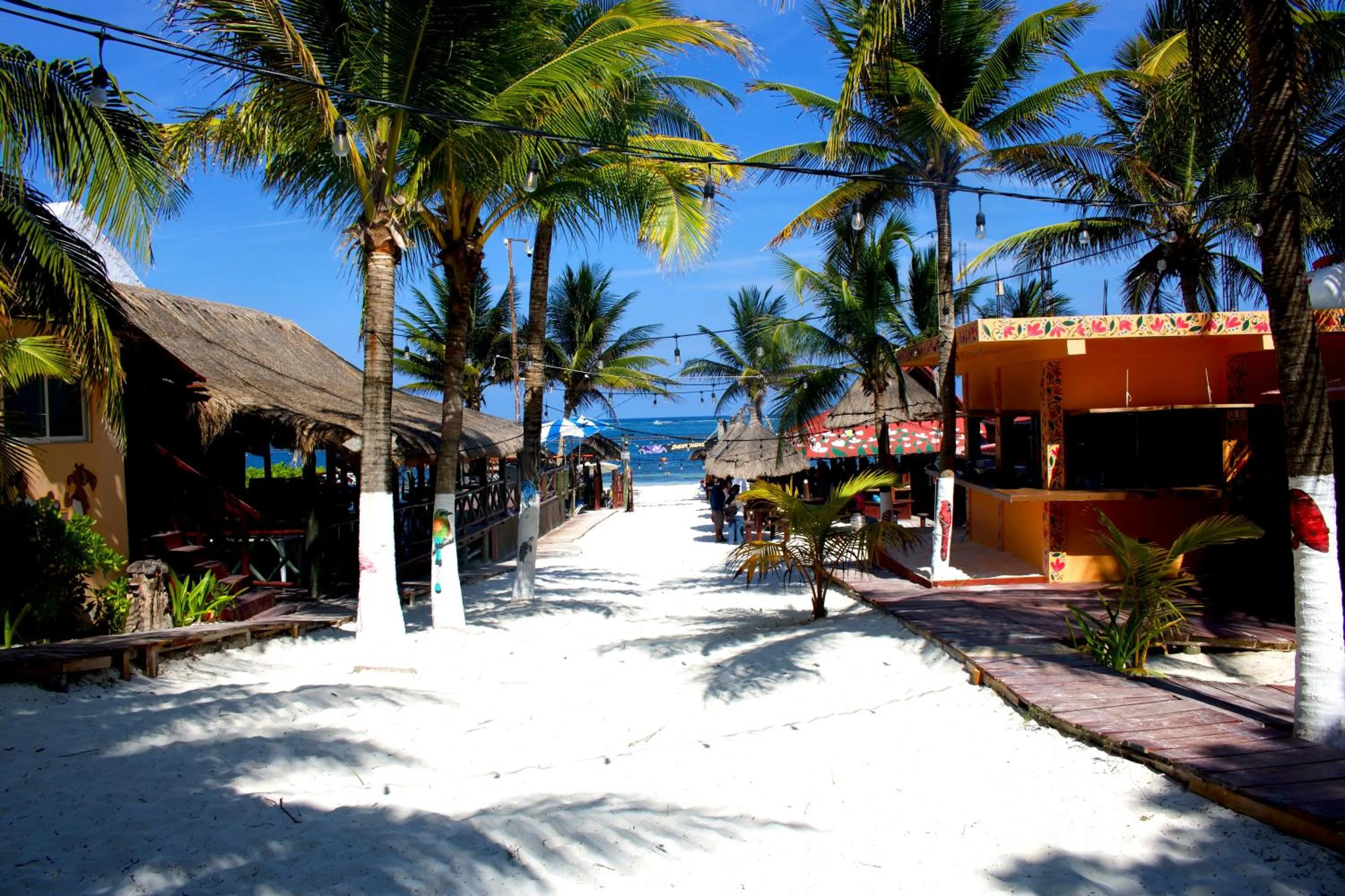 Day in The Diving Lodge Downtown