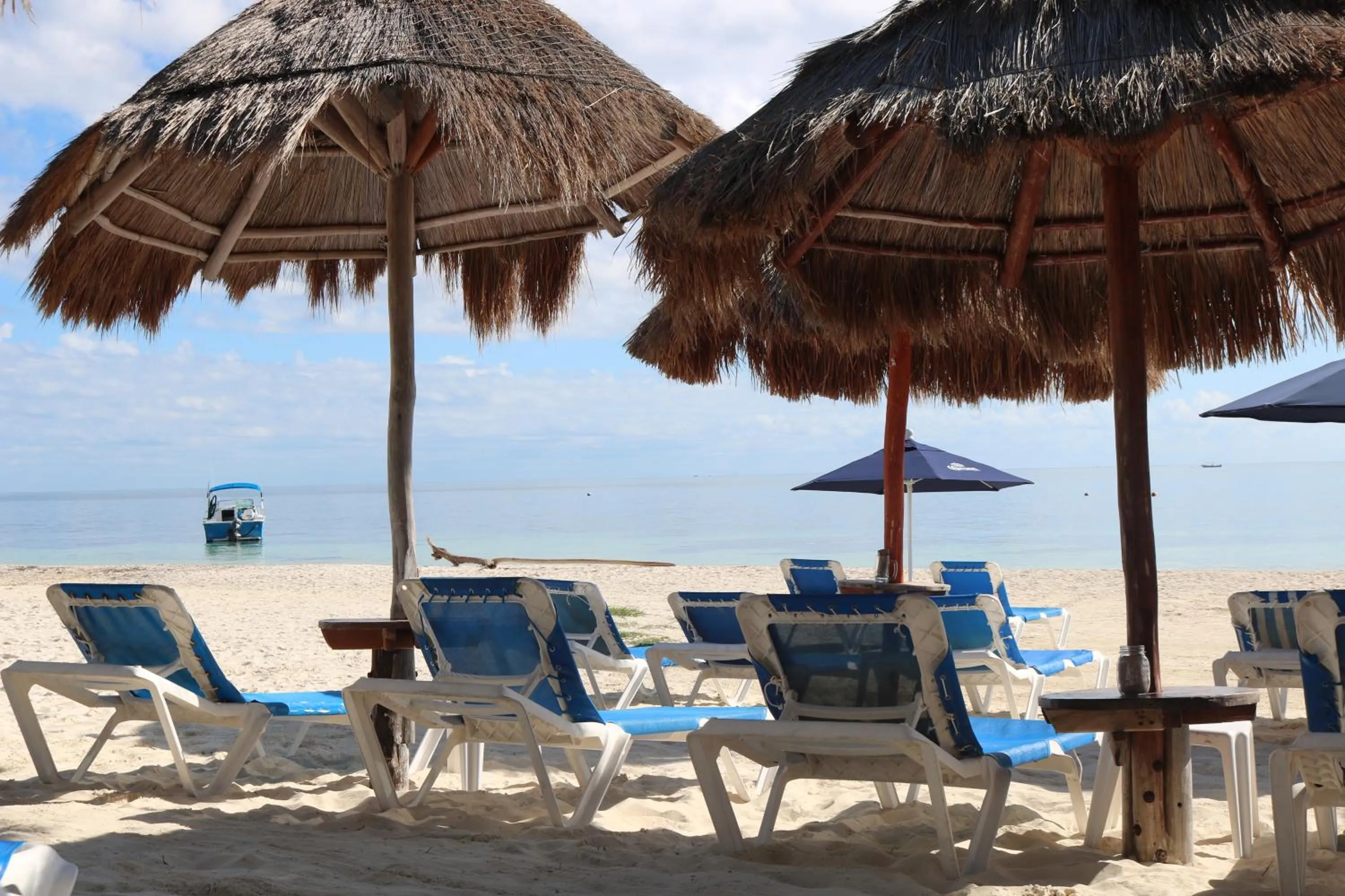 Beach in The Diving Lodge Downtown