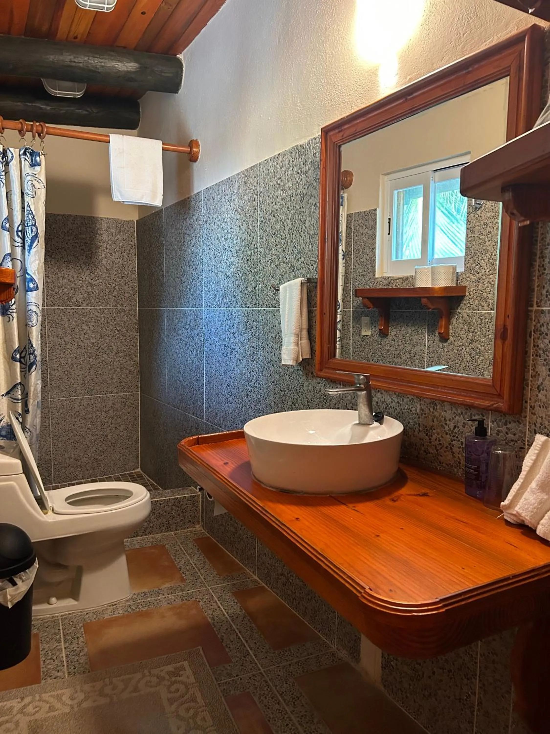 Toilet in The Diving Lodge Downtown