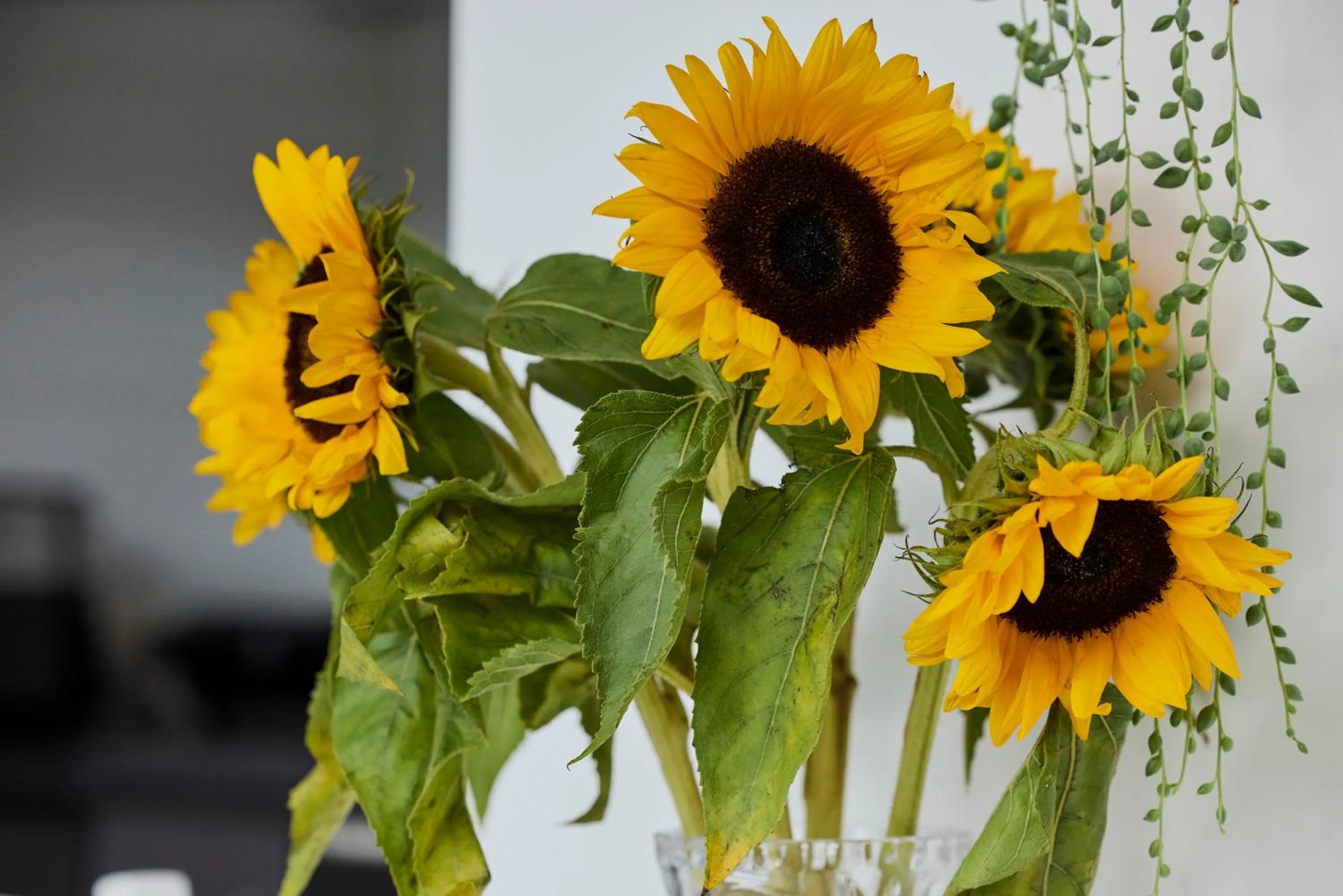 Decorative detail in Treehouse Inn