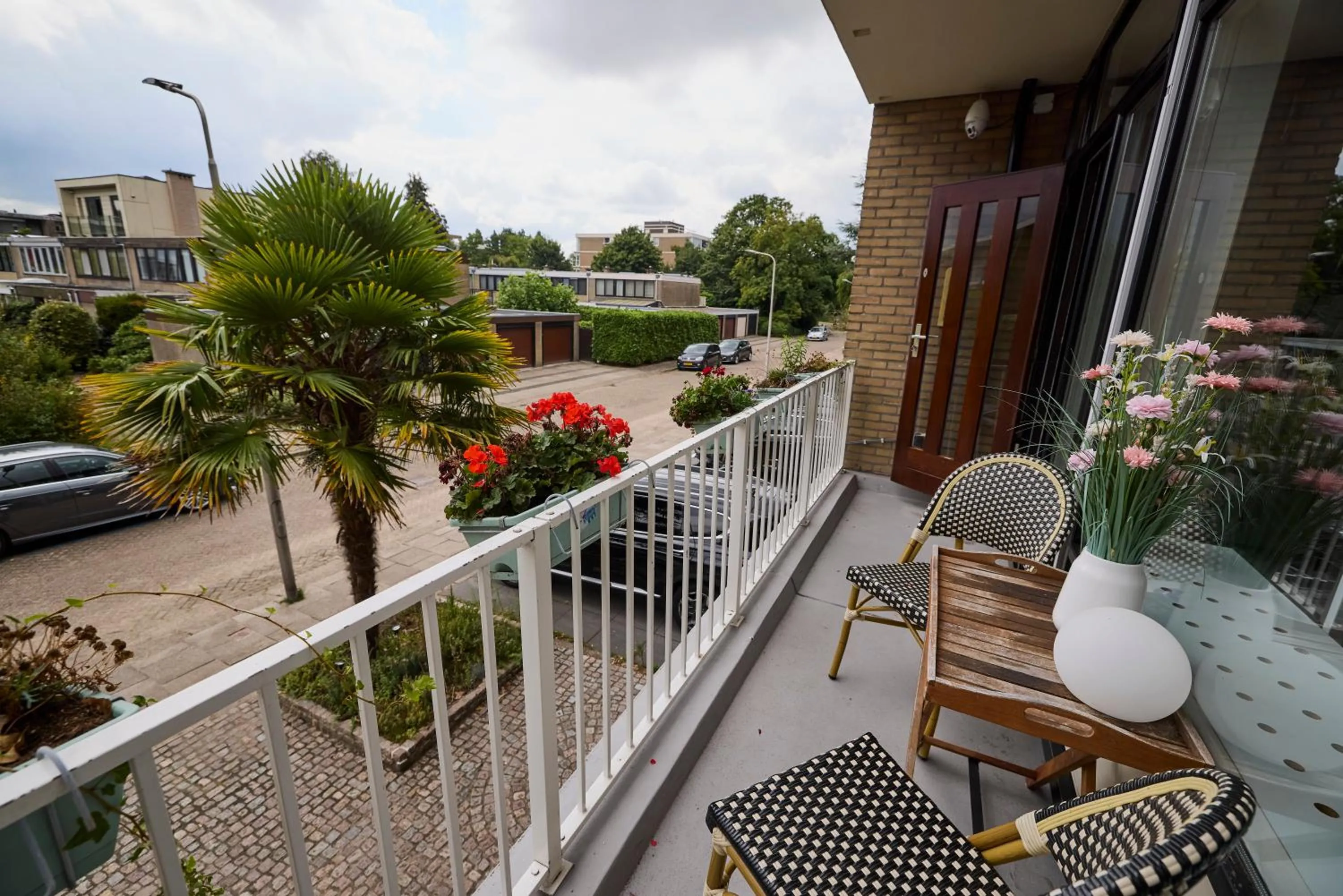 View (from property/room) in Treehouse Inn