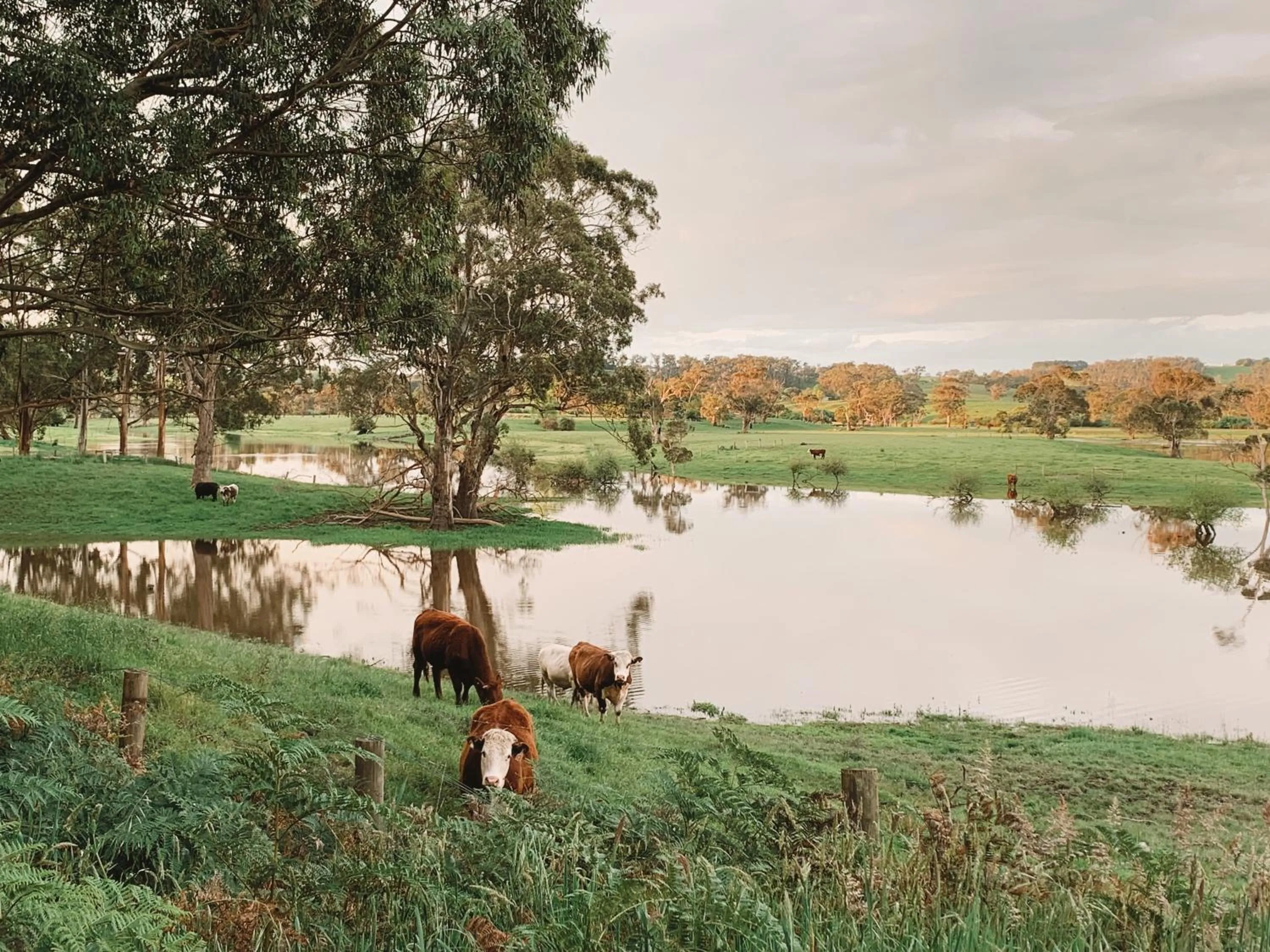 Hiking in Meeniyan Motel