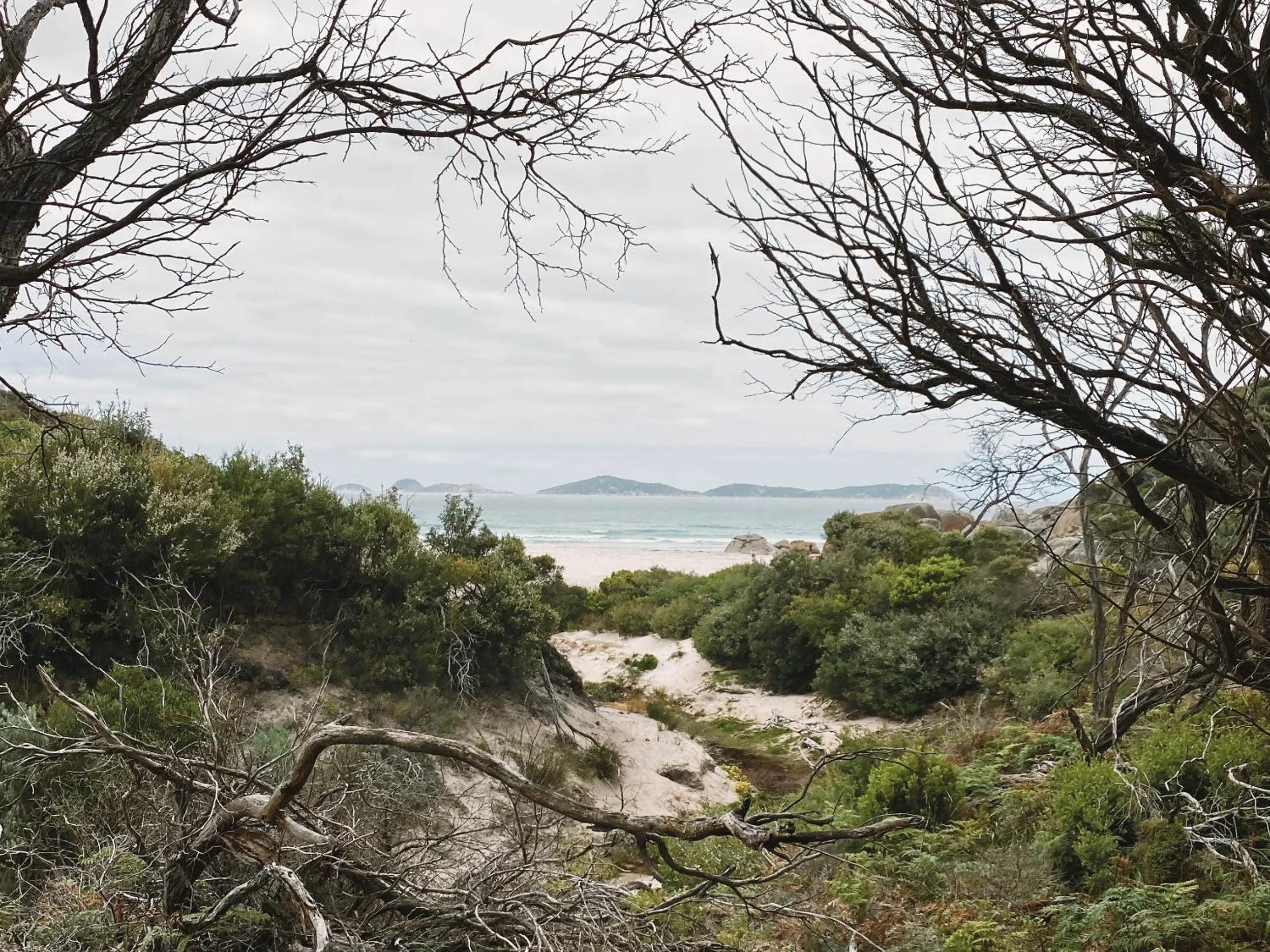 Nearby landmark in Meeniyan Motel