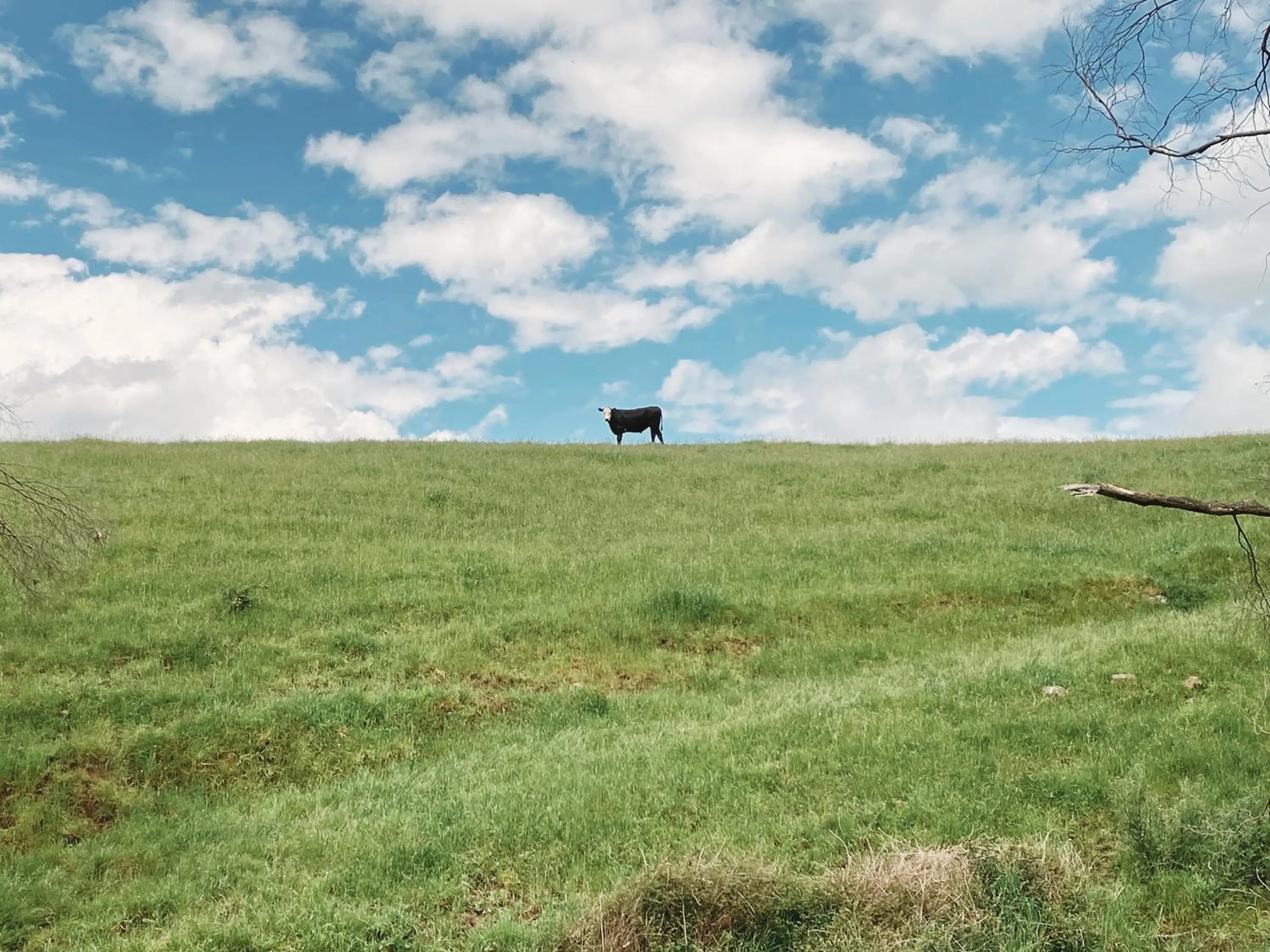 Nearby landmark in Meeniyan Motel