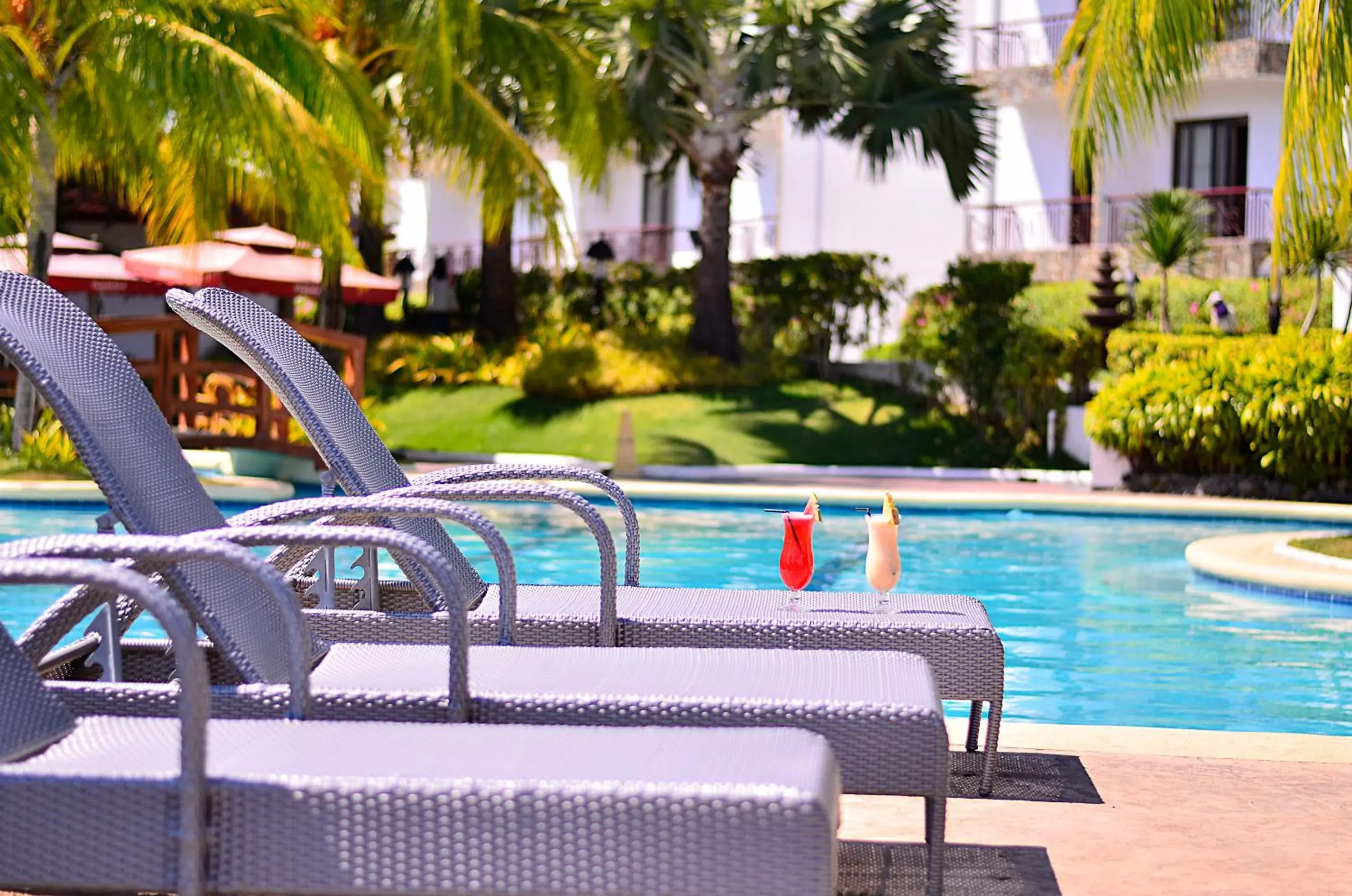 Lounge or bar in Thunderbird Resorts - Rizal Lounge or bar in Thunderbird Resorts - Rizal
