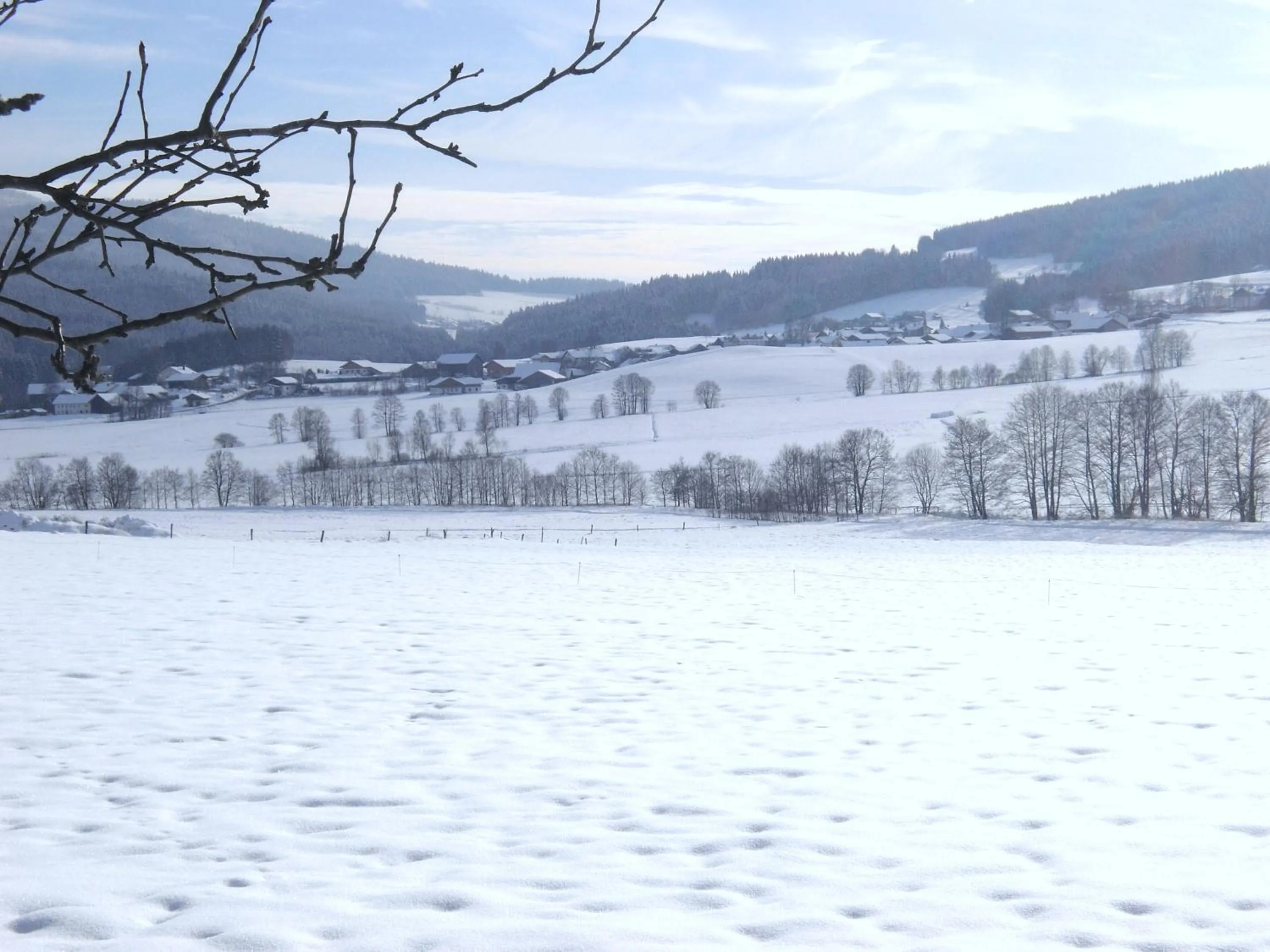 Natural landscape in Gasthof-Pension-Kraus