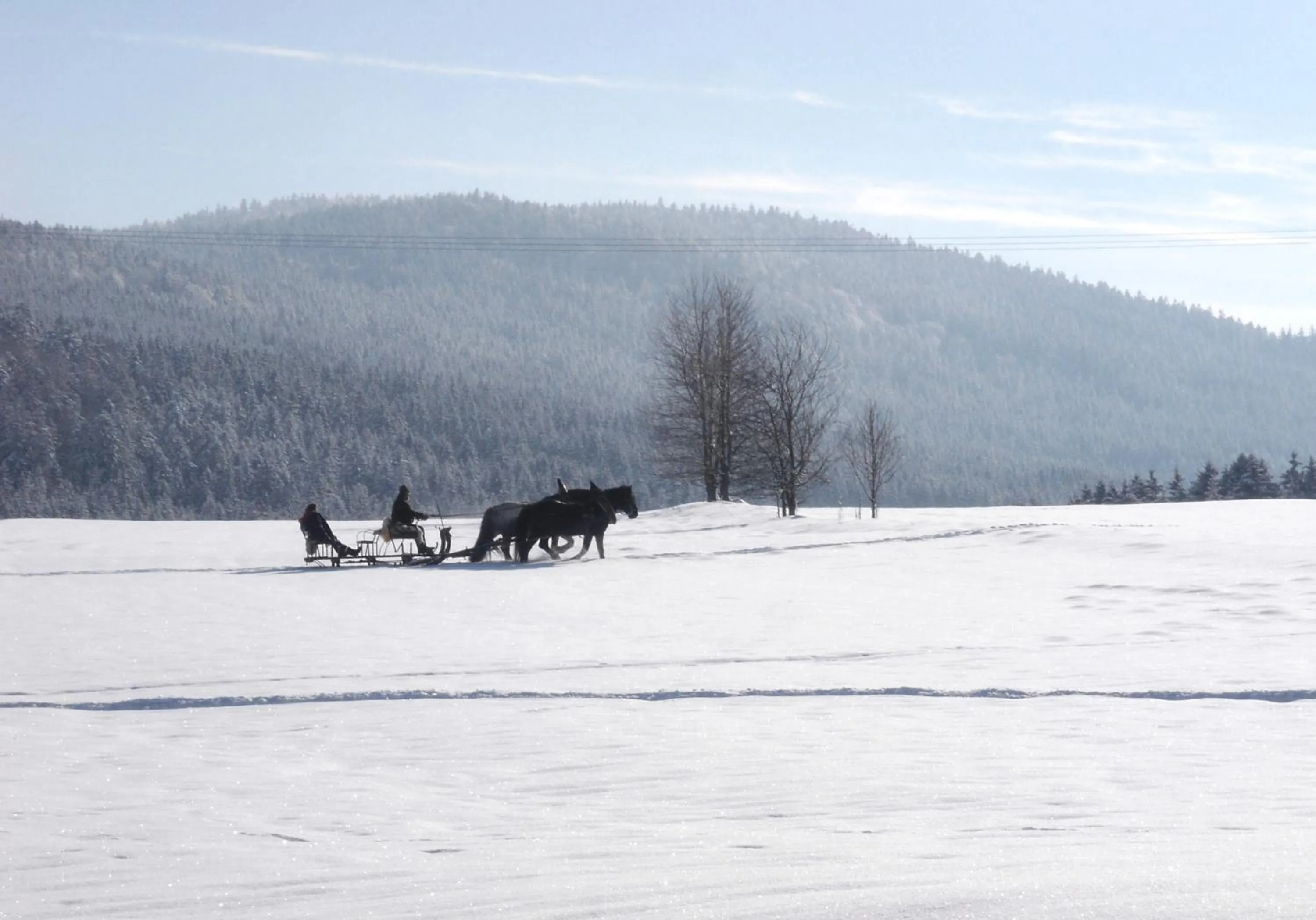 Natural landscape in Gasthof-Pension-Kraus