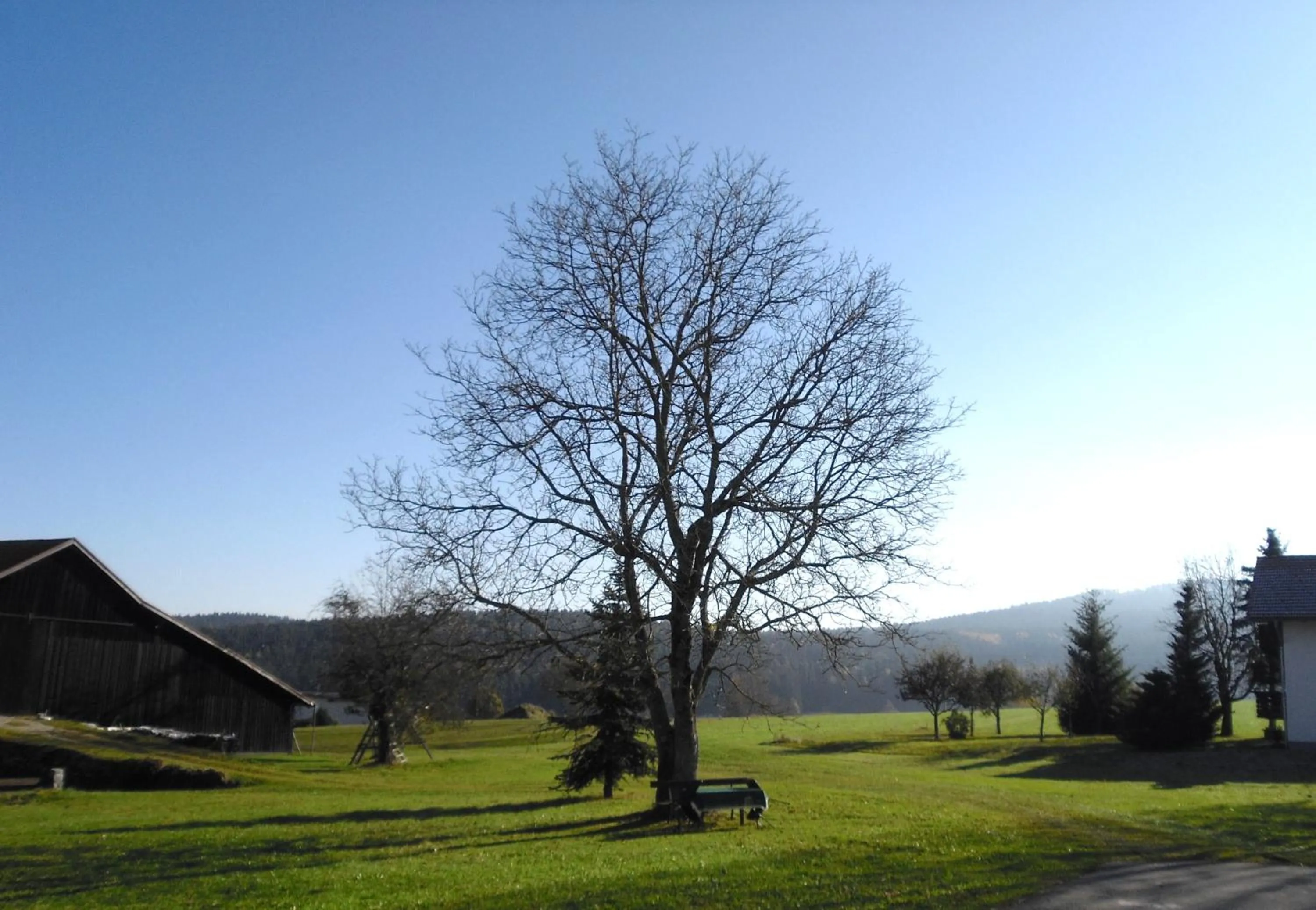 Natural landscape in Gasthof-Pension-Kraus
