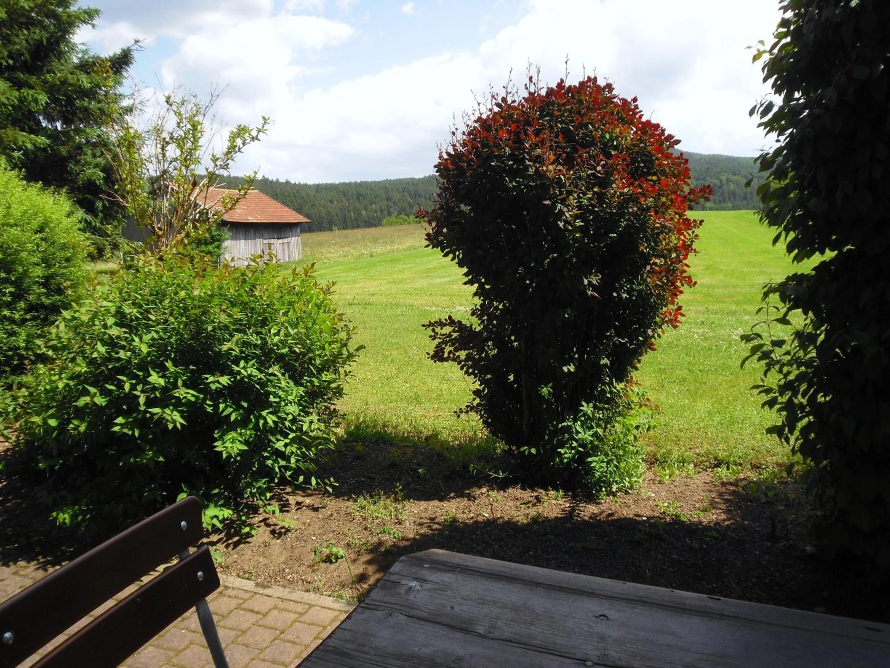View (from property/room) in Gasthof-Pension-Kraus