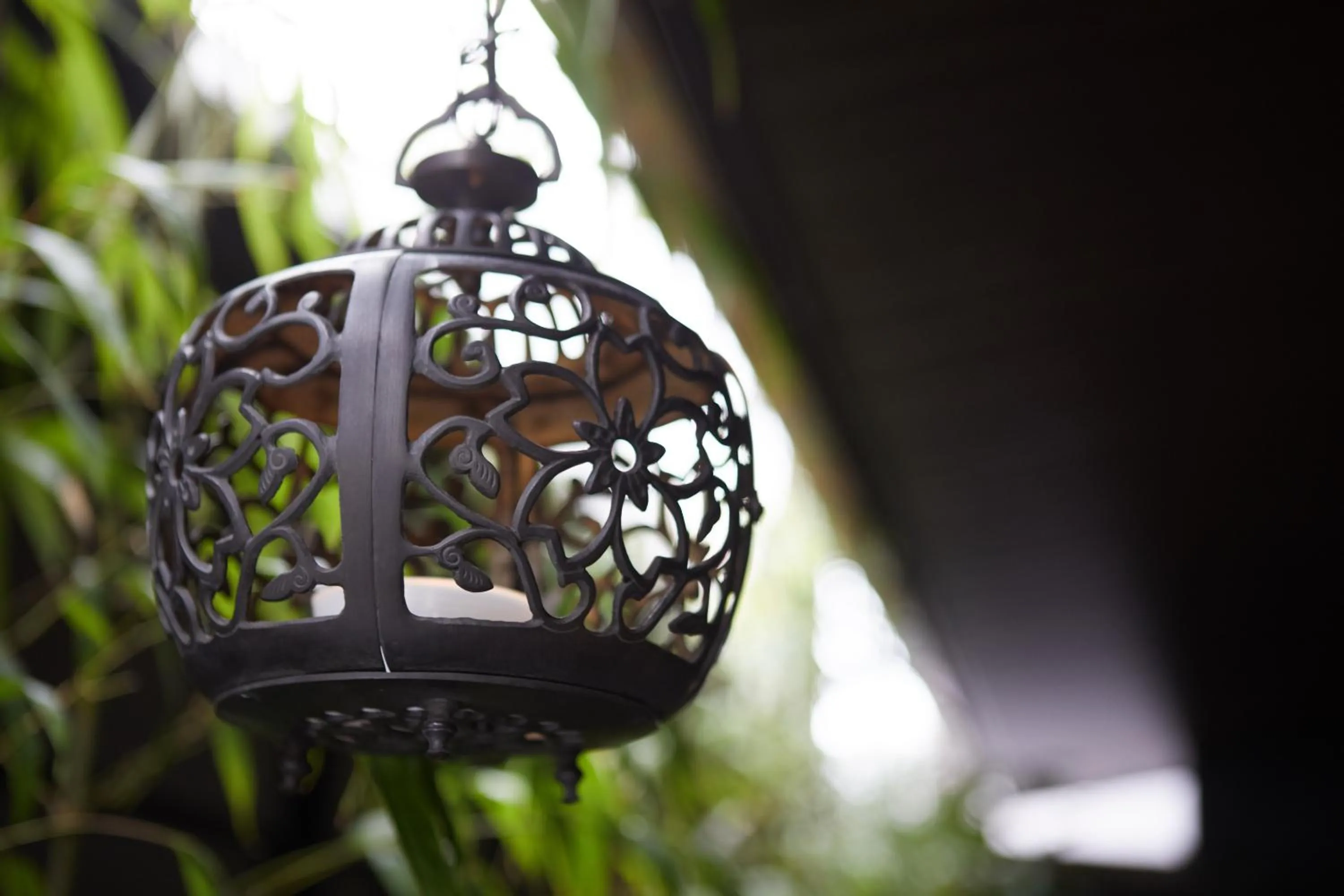 Garden in Hauza Kyoto Gojo Karasuma