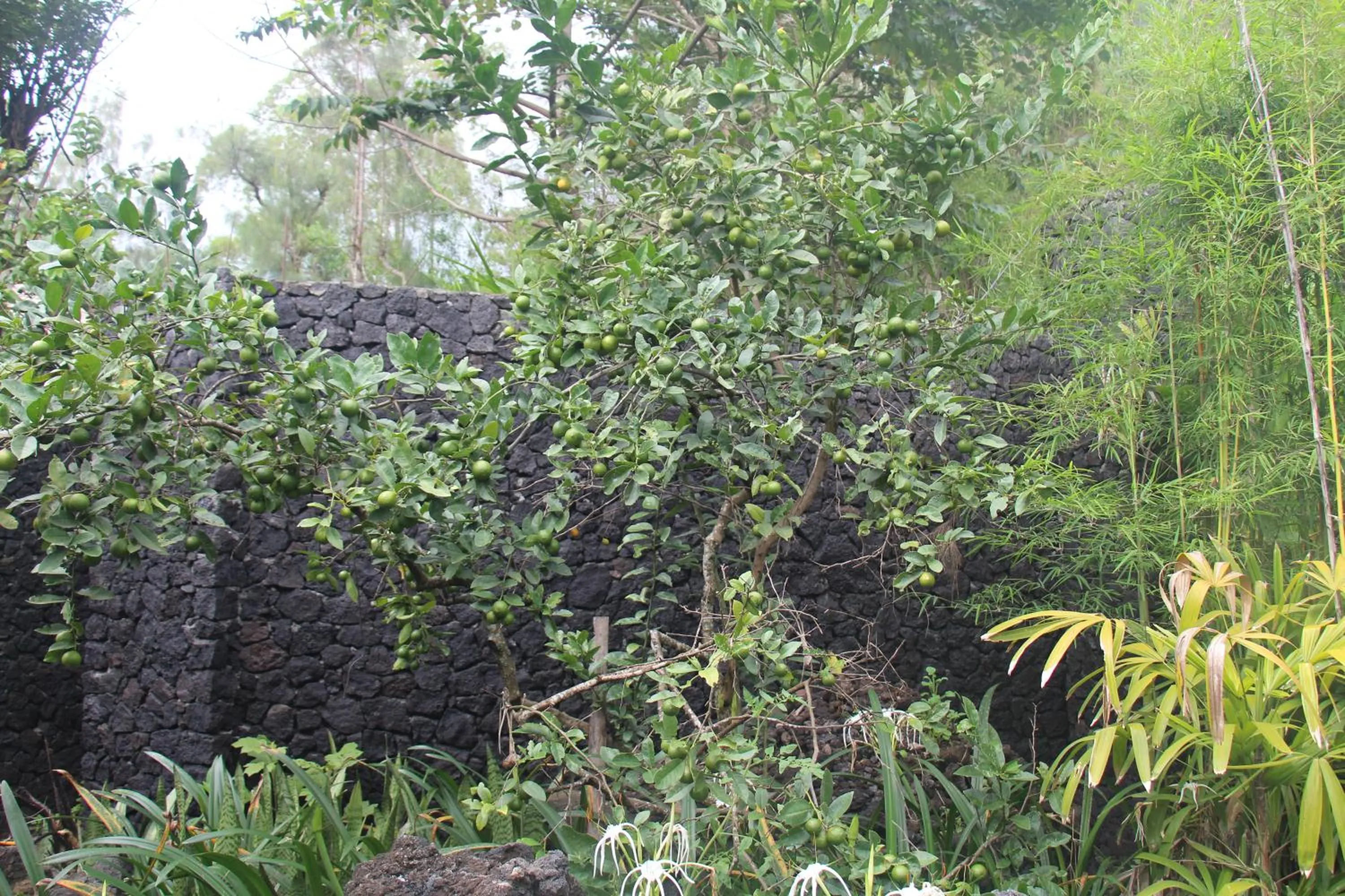 Property building in Geopark Village