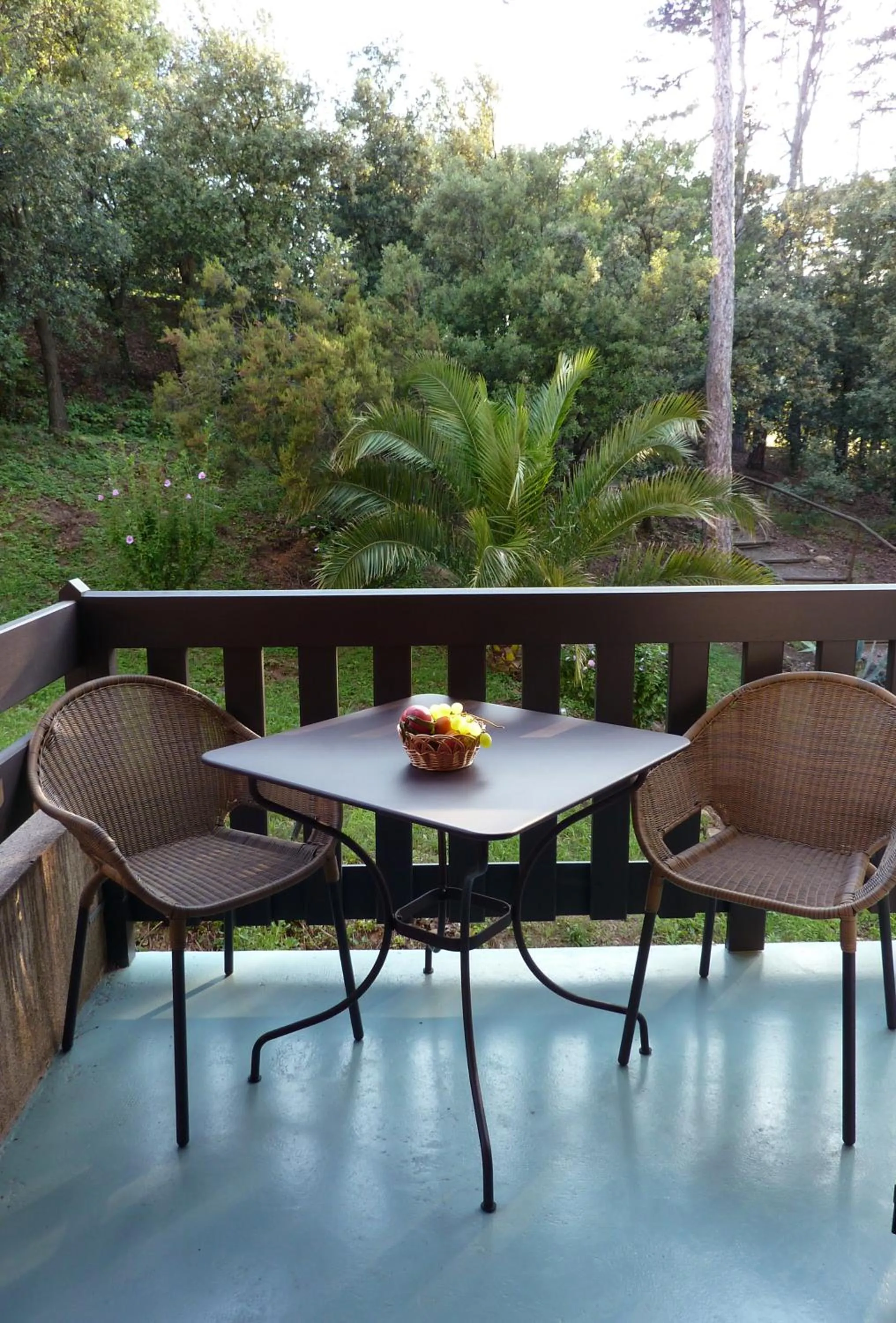 View (from property/room) in La Pinède