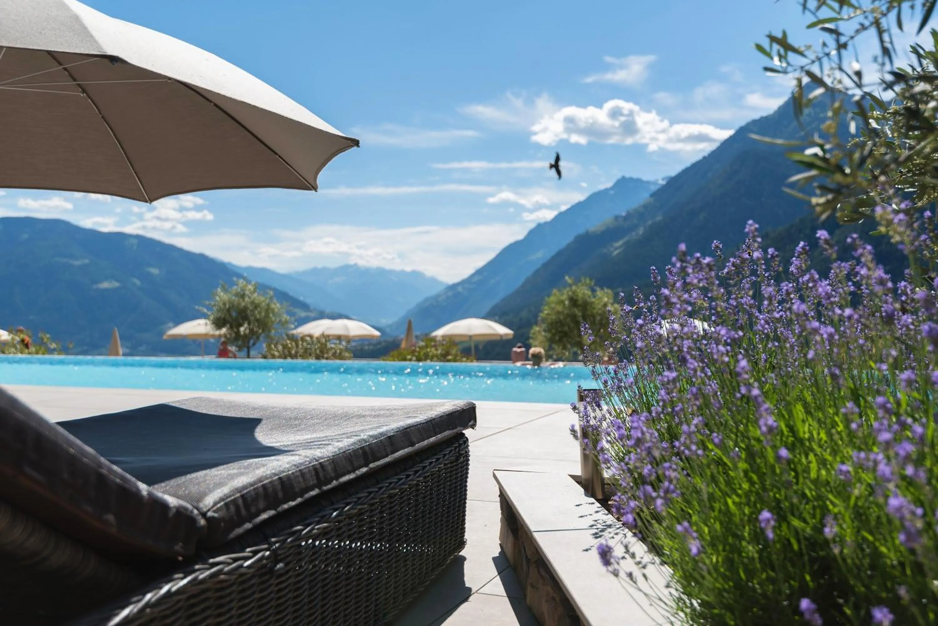 Garden in Hotel Panorama