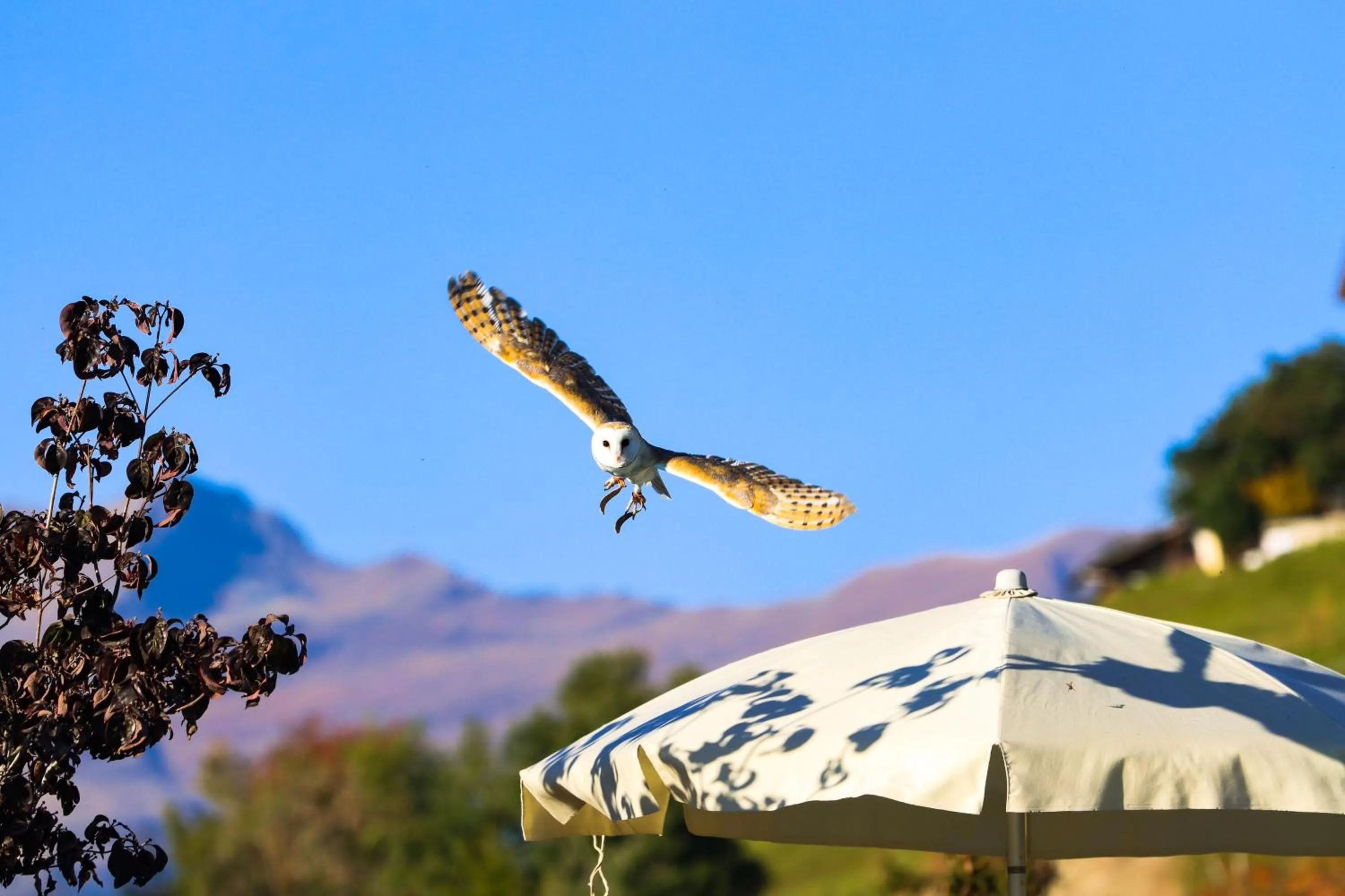 Natural landscape in Hotel Panorama