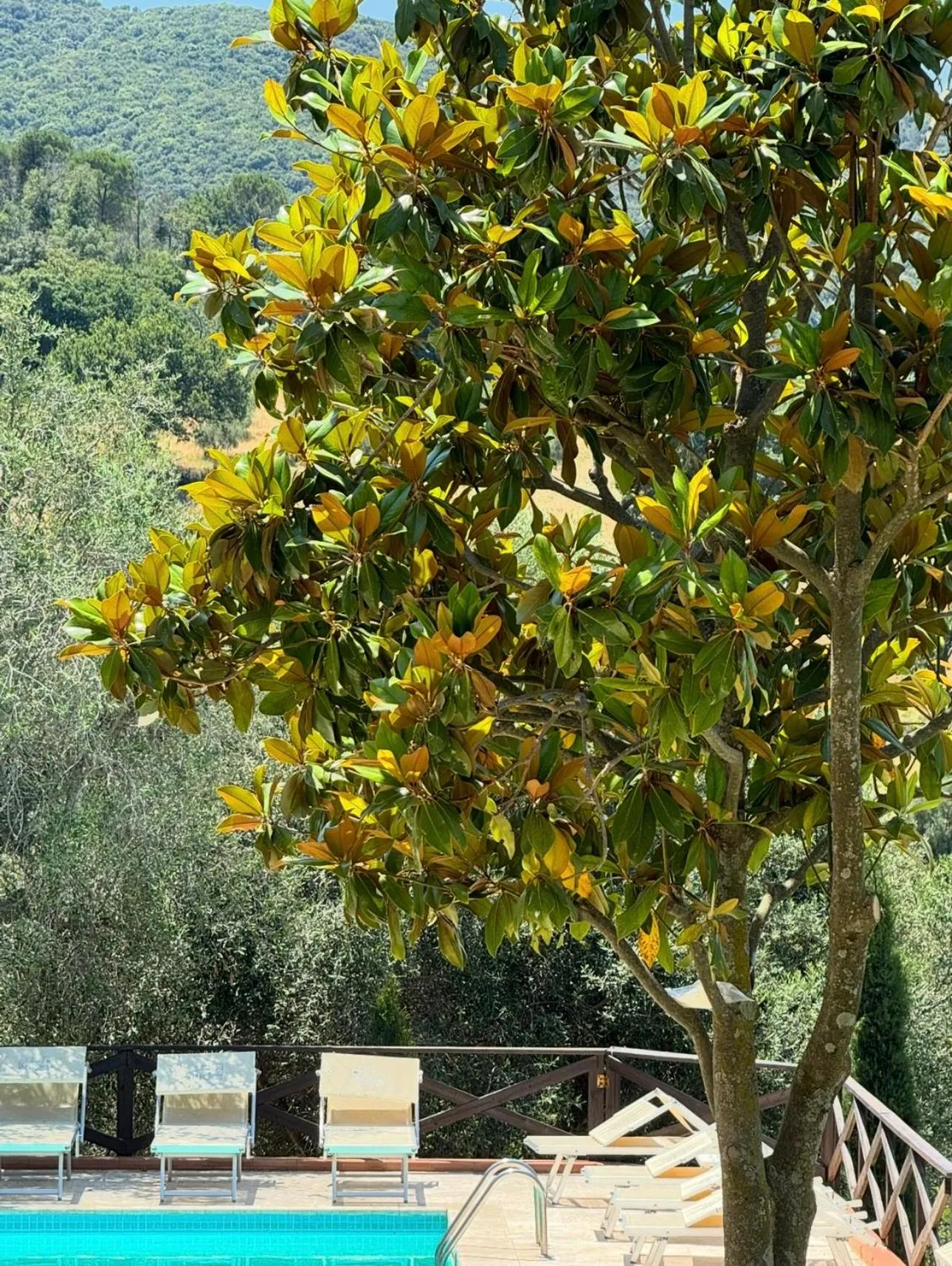 Spring in Madonna Del Poggio CAV