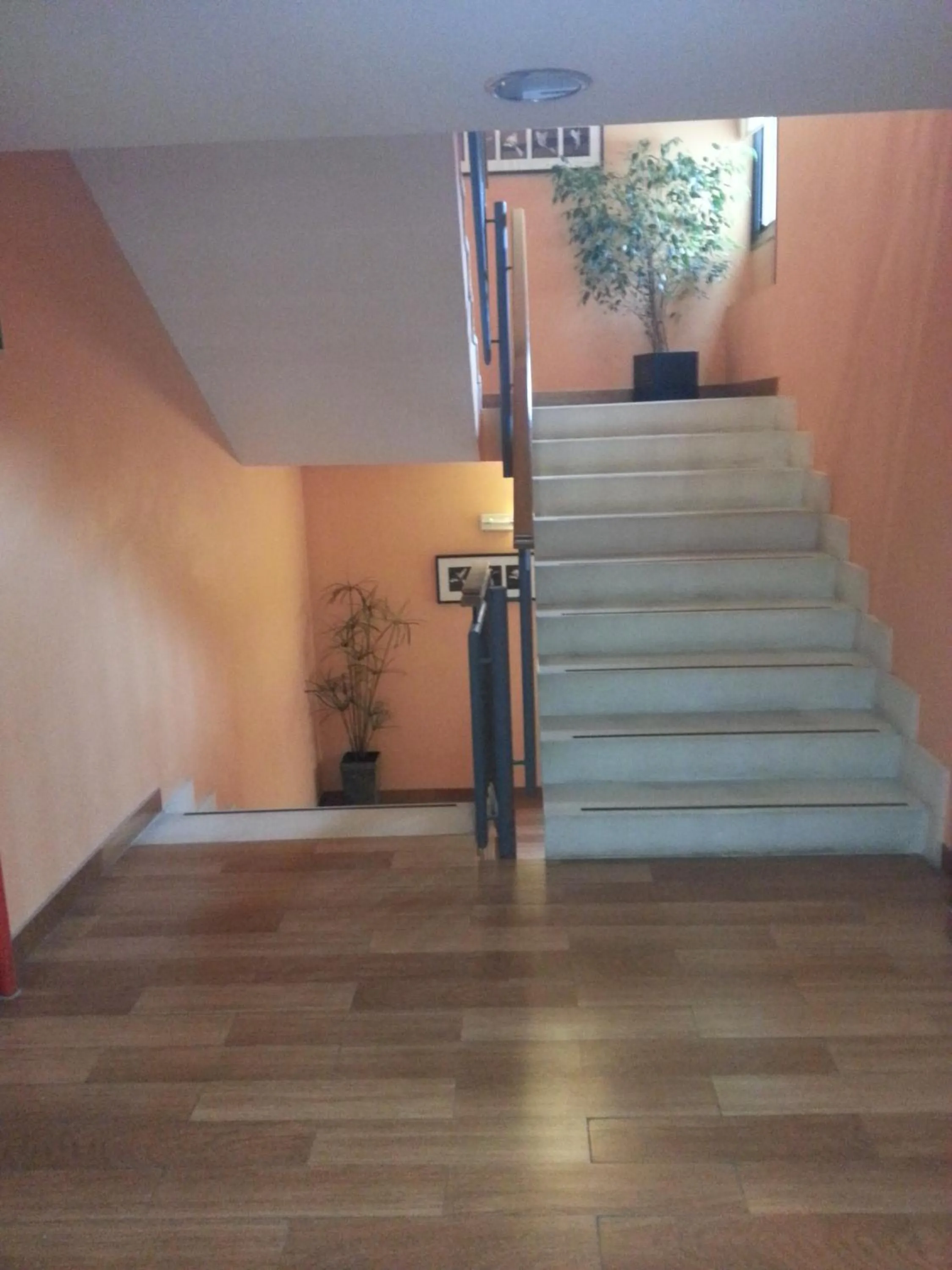 Other in Hostal El Arco