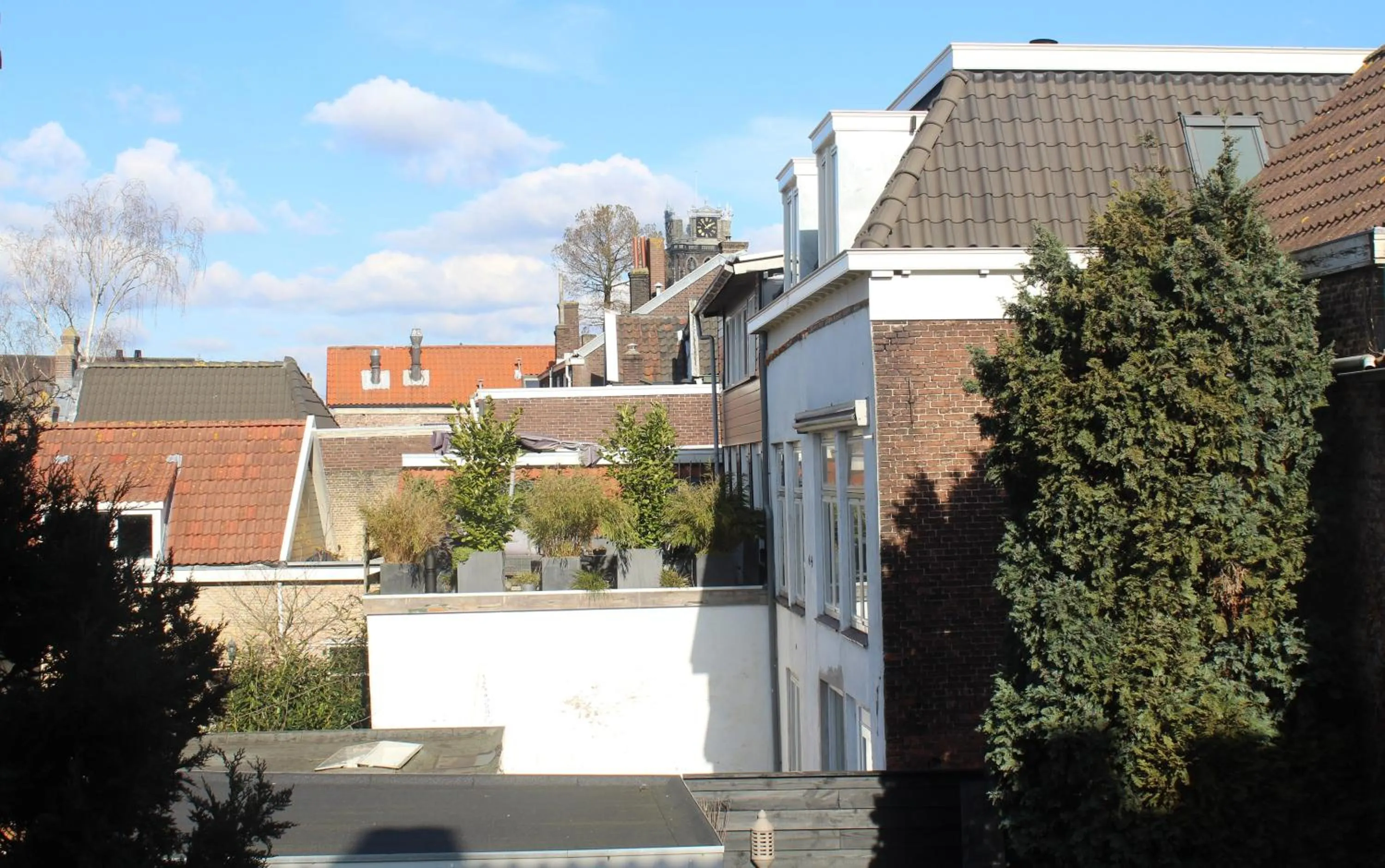 View (from property/room) in ZEN b&b