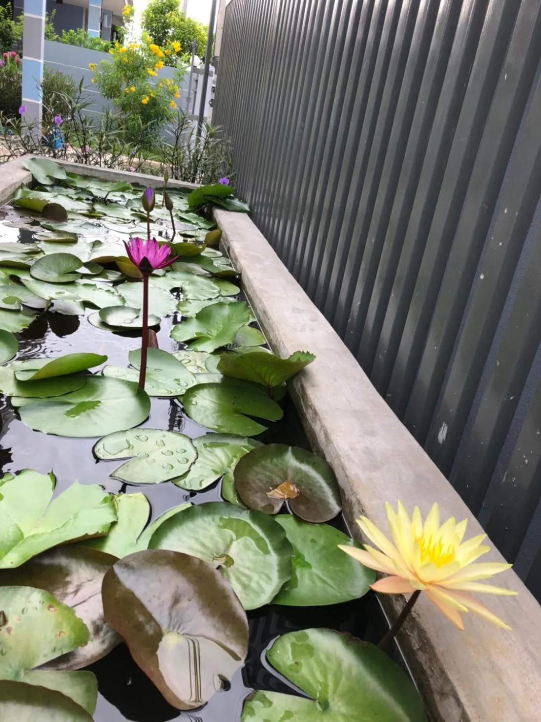 Natural landscape in Uthaithani Resort