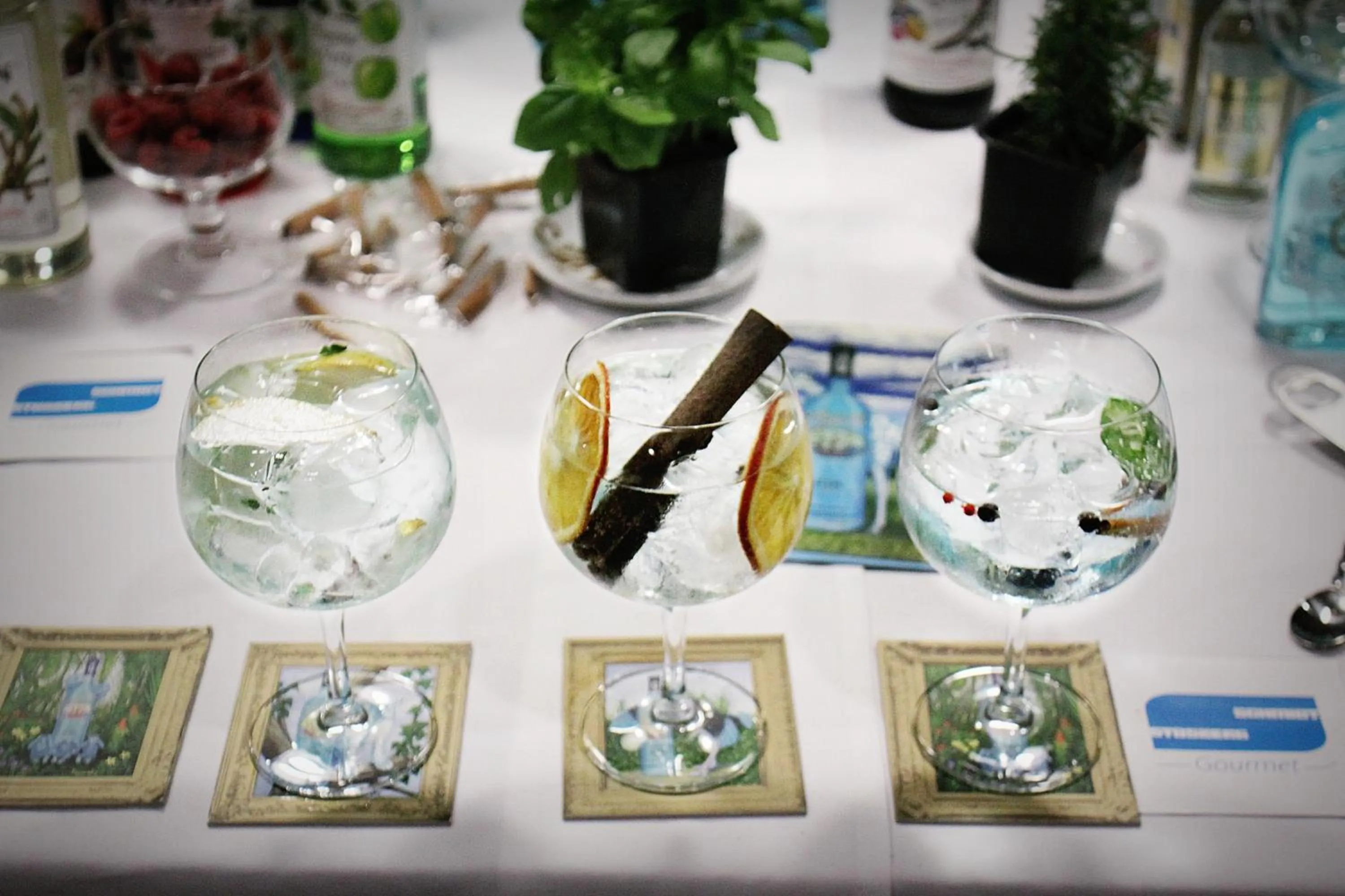 Lounge or bar in Hotel Melius