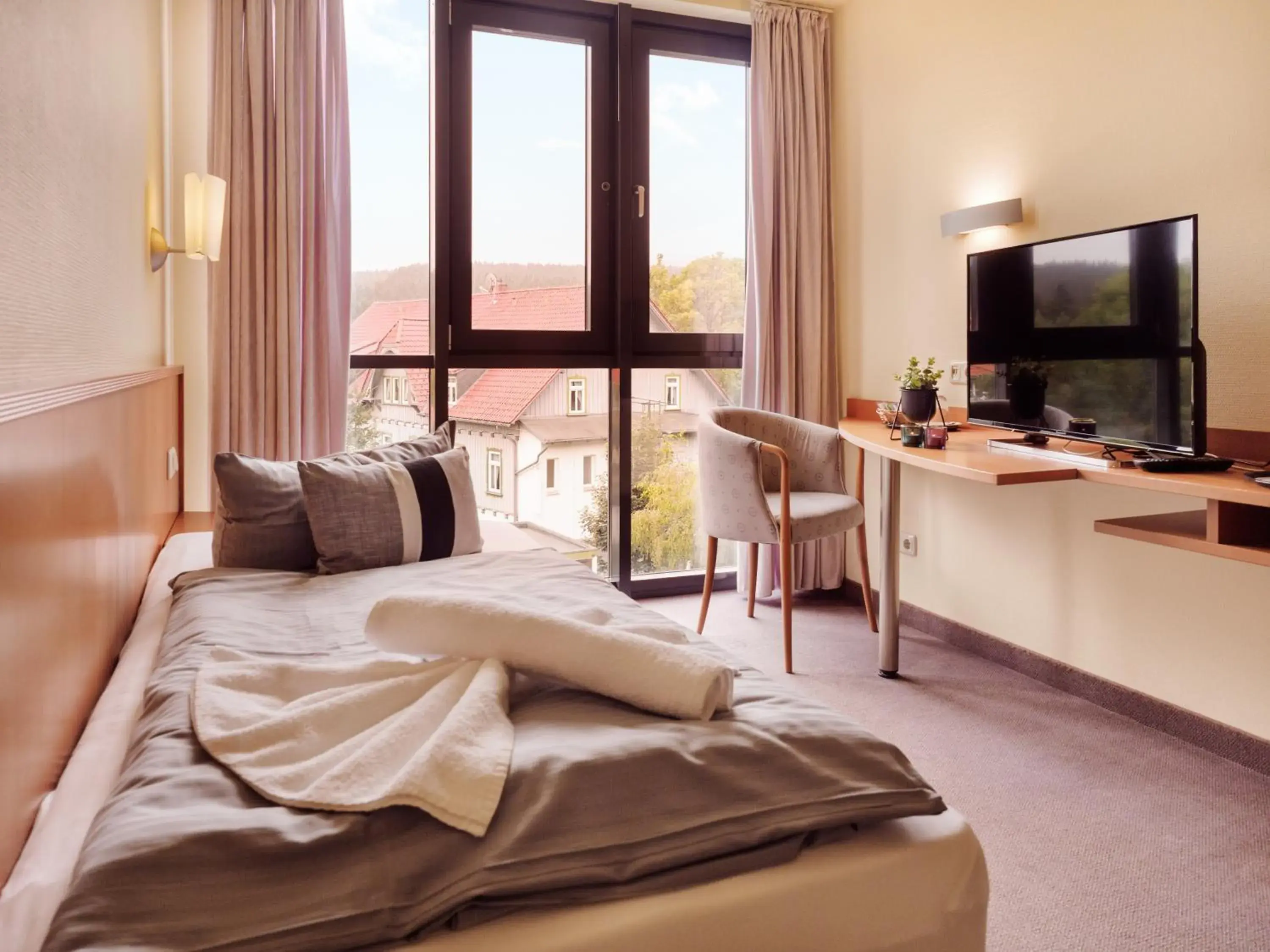 Single Room in REGIOHOTEL Am Brocken Schierke Single Room in REGIOHOTEL Am Brocken Schierke